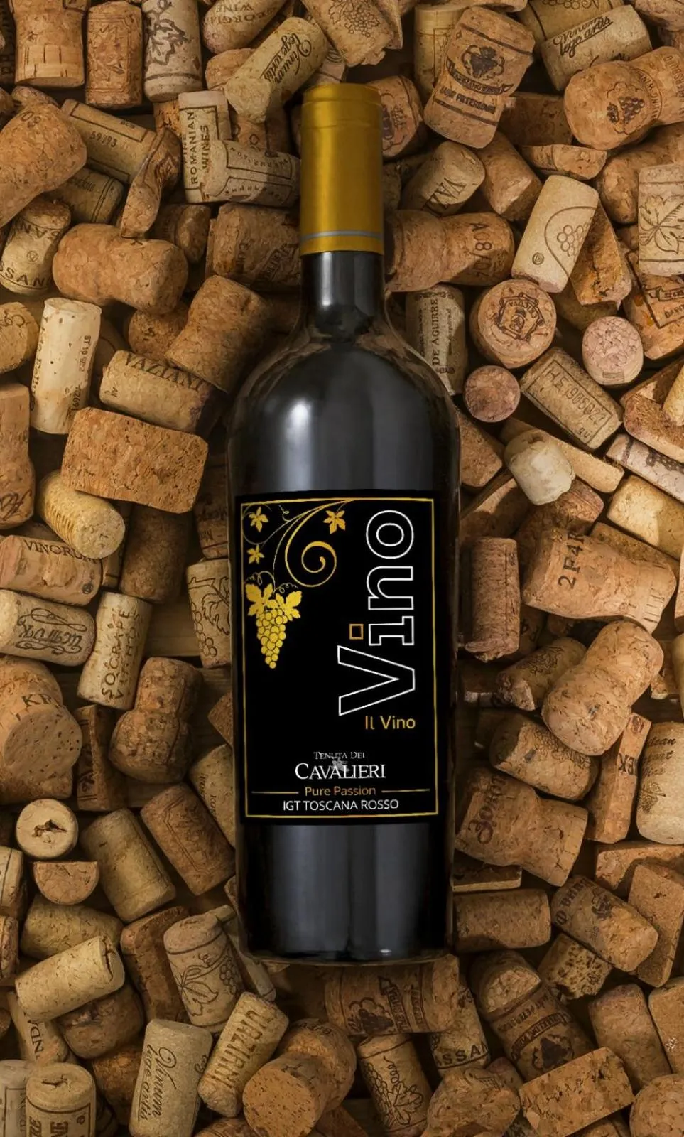 Tenuta dei Cavalieri