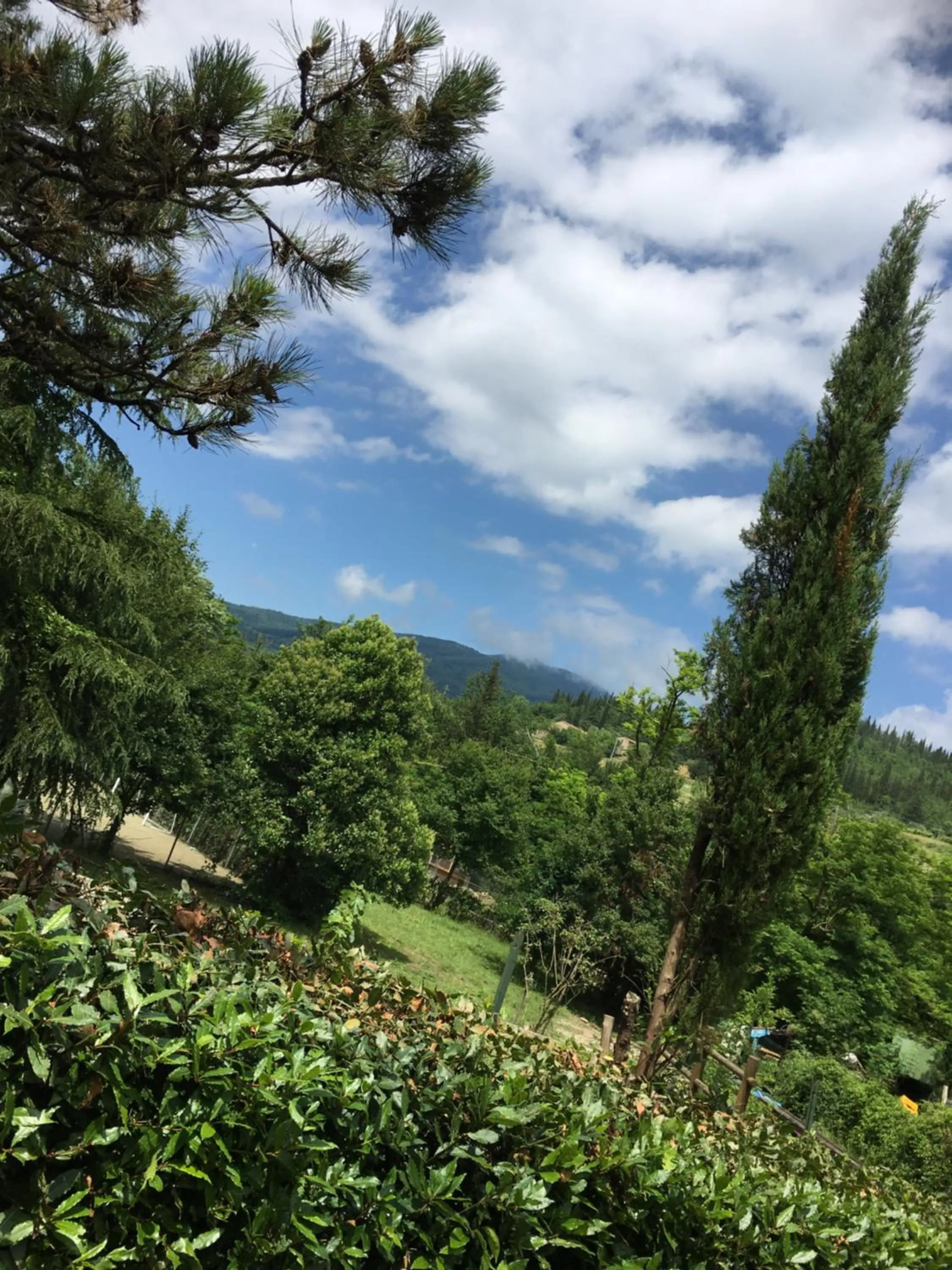 Garden in Tenuta dei Cavalieri