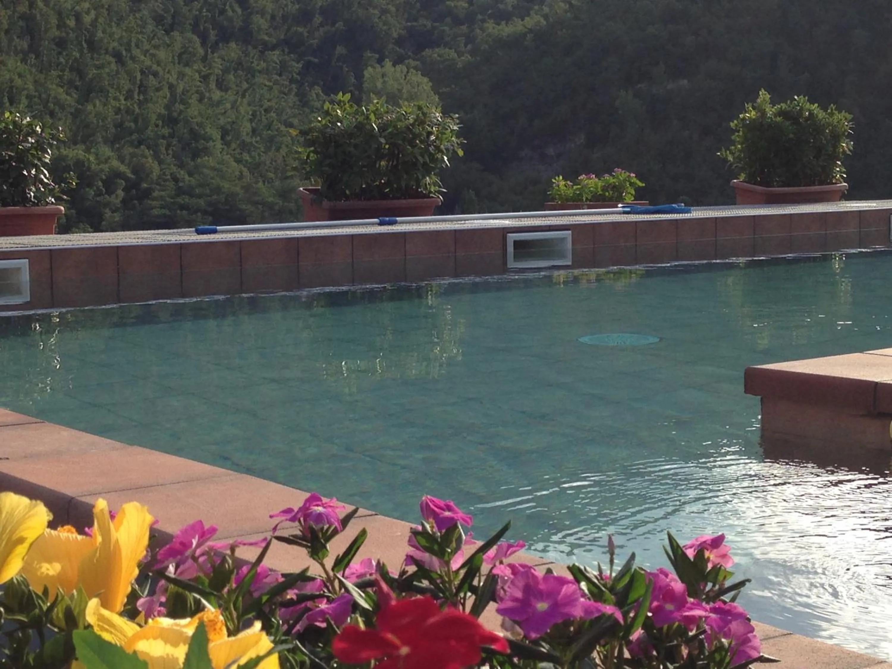 Swimming pool in Tenuta dei Cavalieri