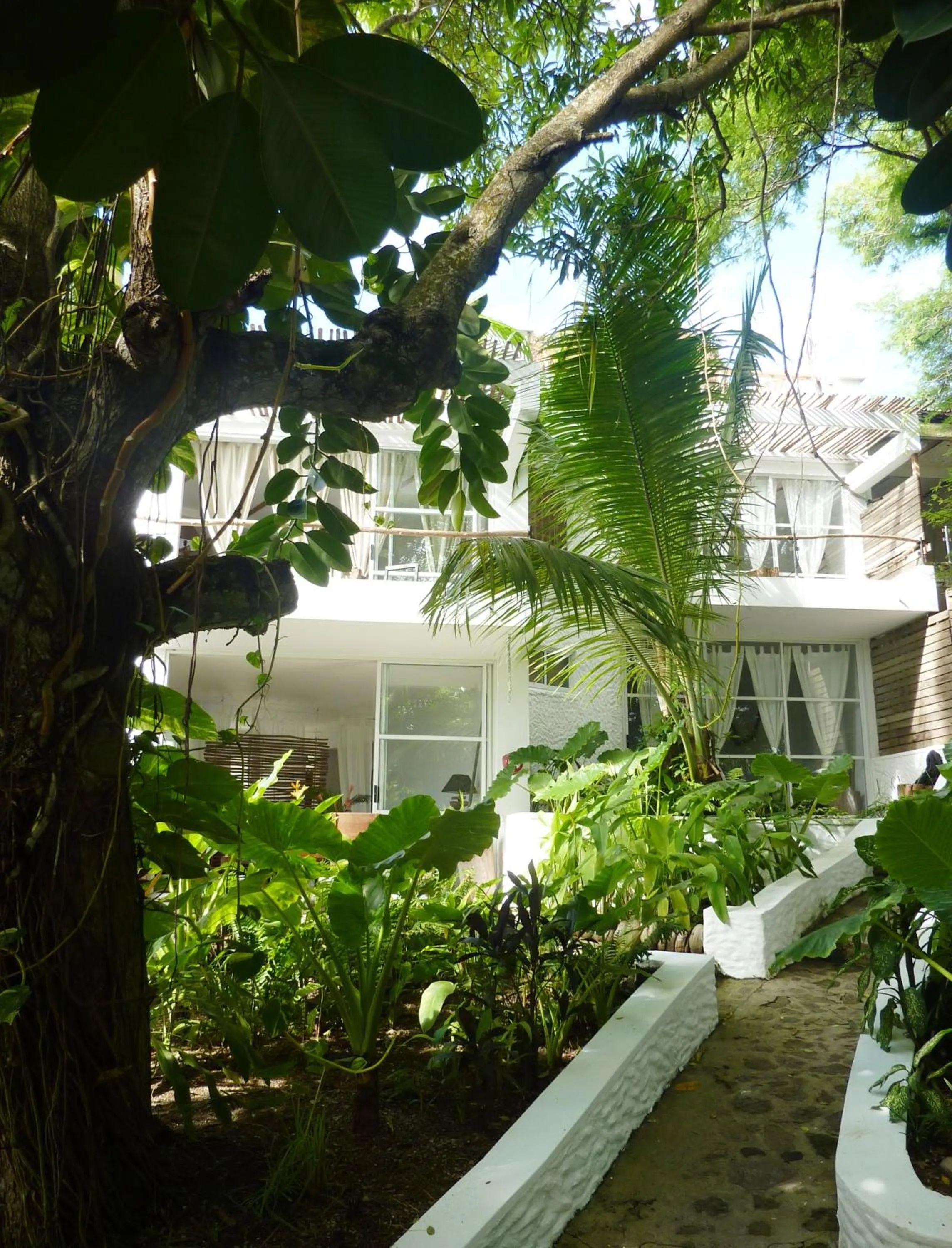 Garden in Bliss Boutique Hotel Seychelles