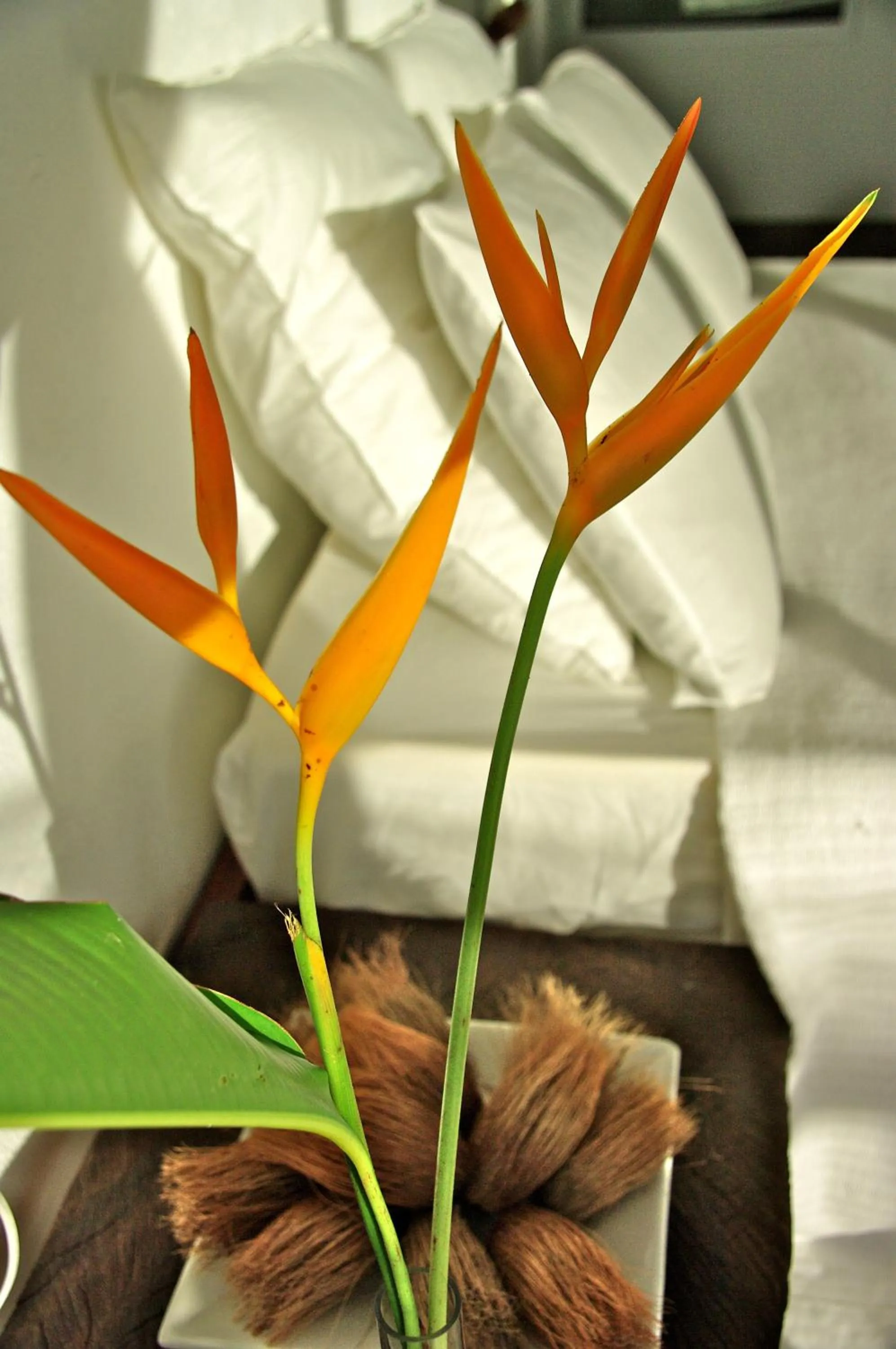 Decorative detail in Bliss Boutique Hotel Seychelles