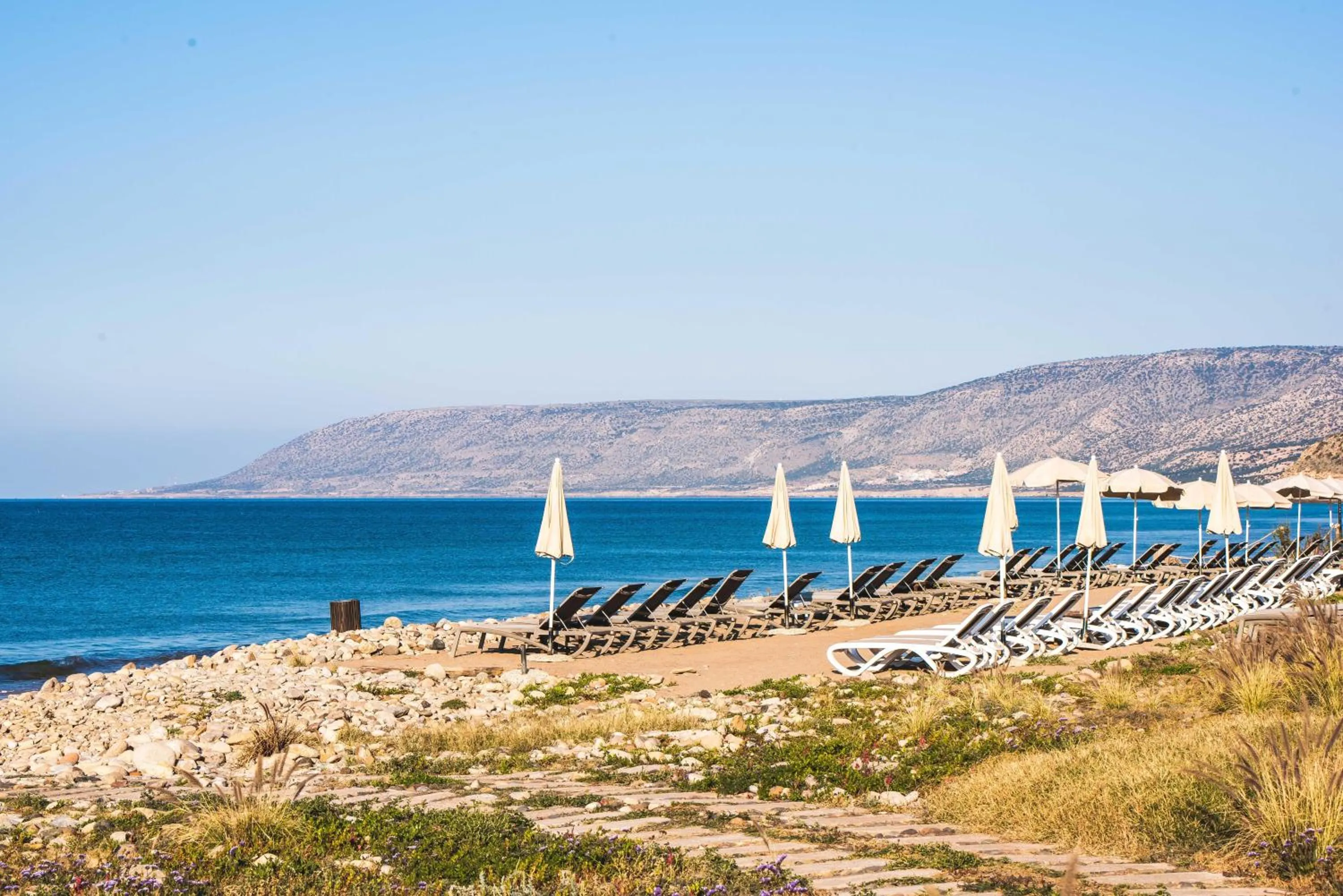 Beach in Paradis Plage Surf Yoga & Spa