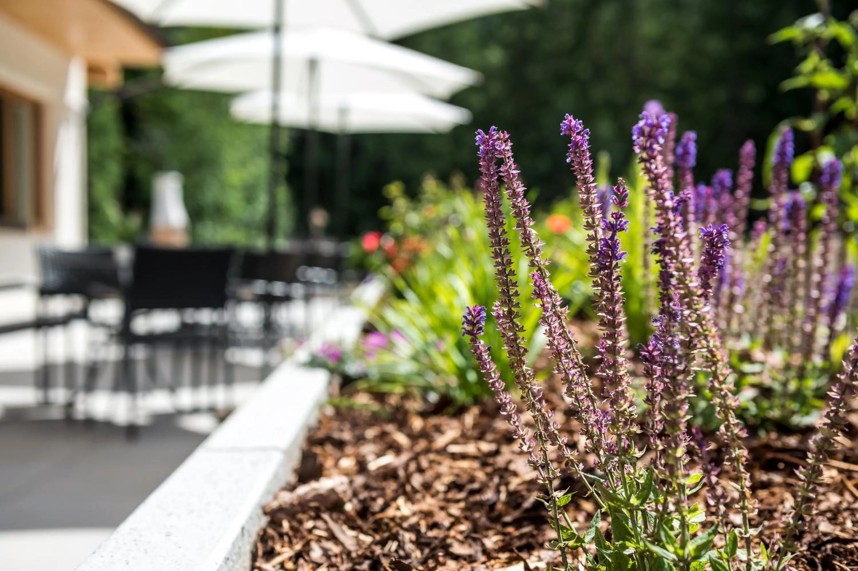 Natural landscape in Hotel Miramonti Badia