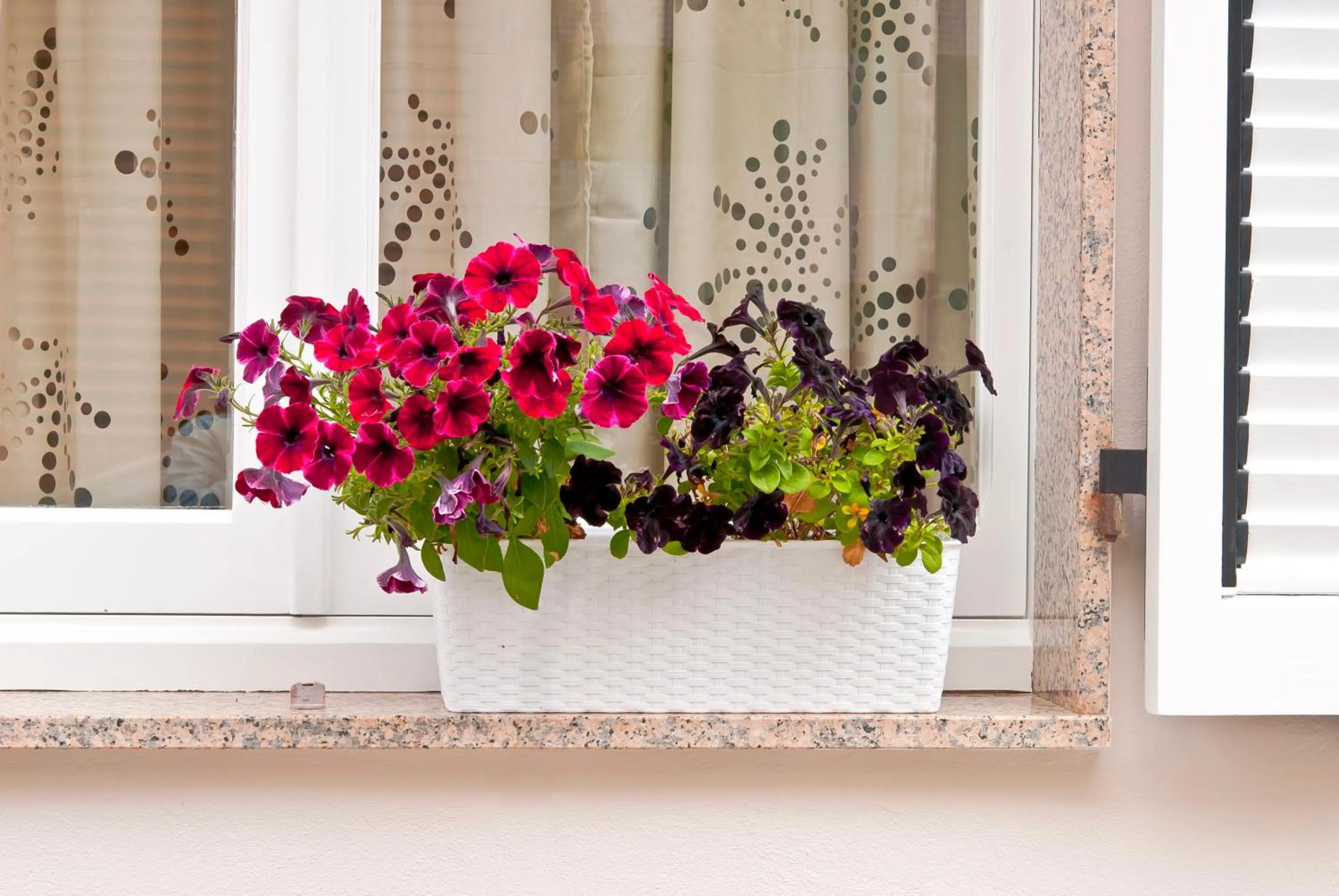 Property building in Montellinos Suite Tortora