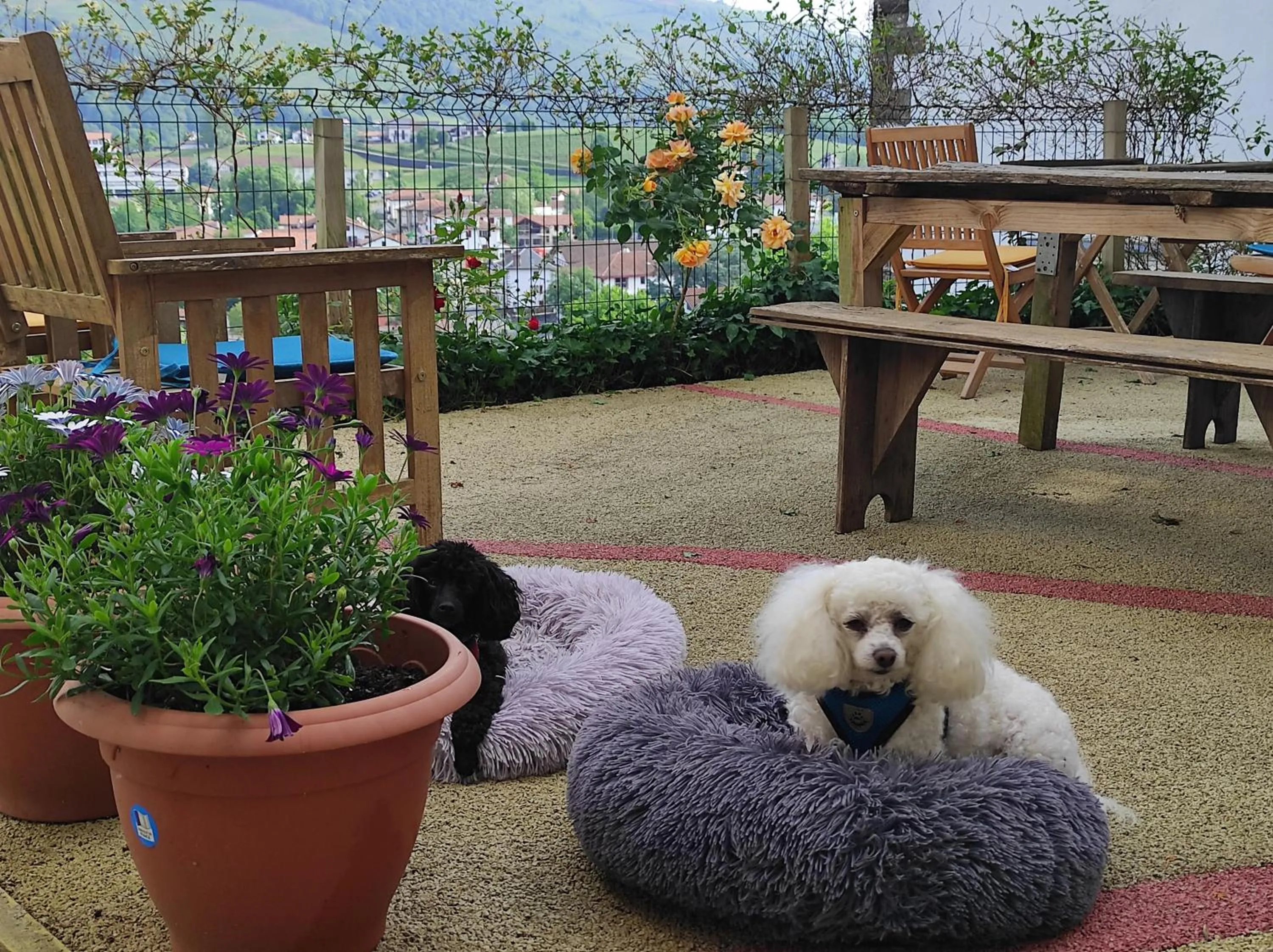 Garden view in Gite de la Porte Saint Jacques: a hostel for pilgrims