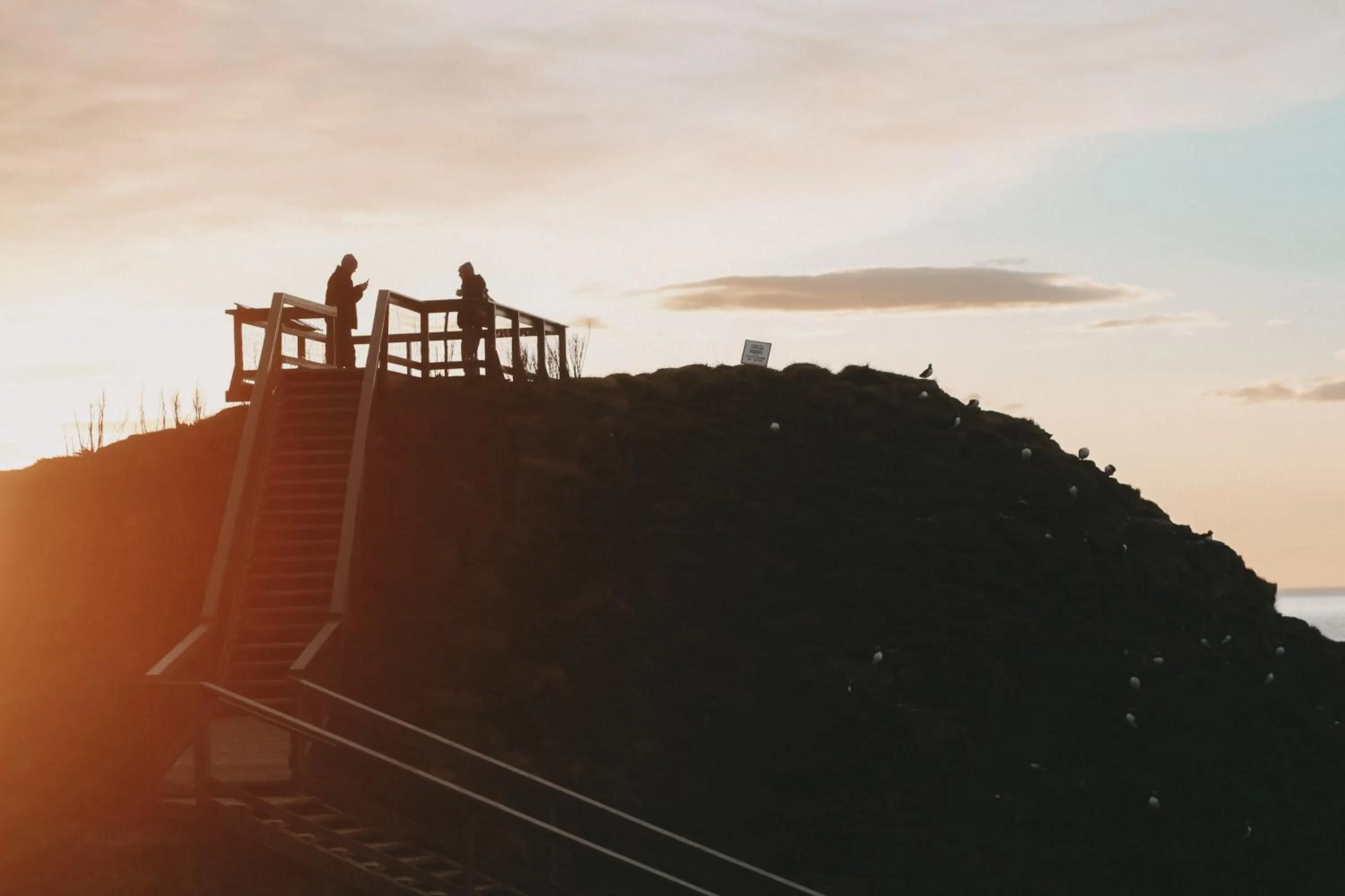 Activities in Blabjorg Resort