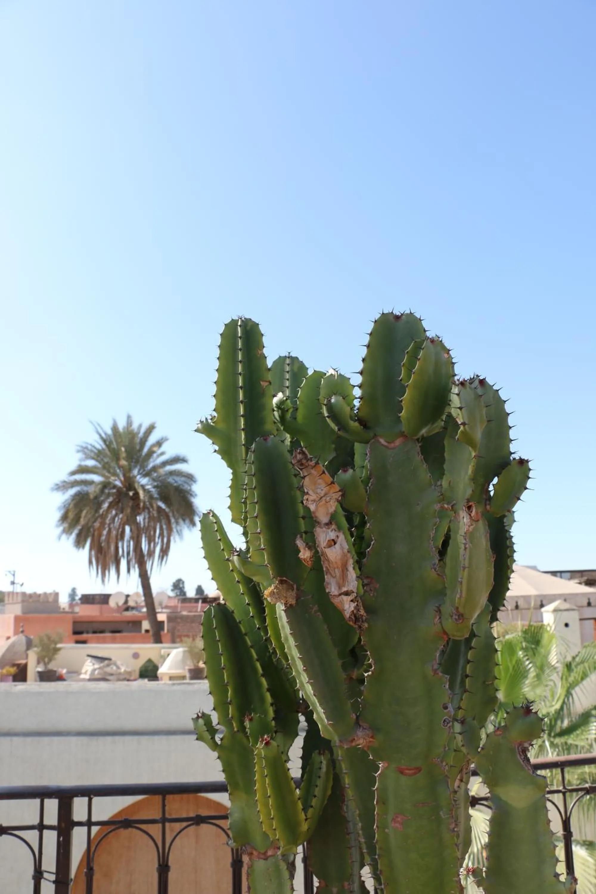 Balcony/Terrace in Riad Chergui