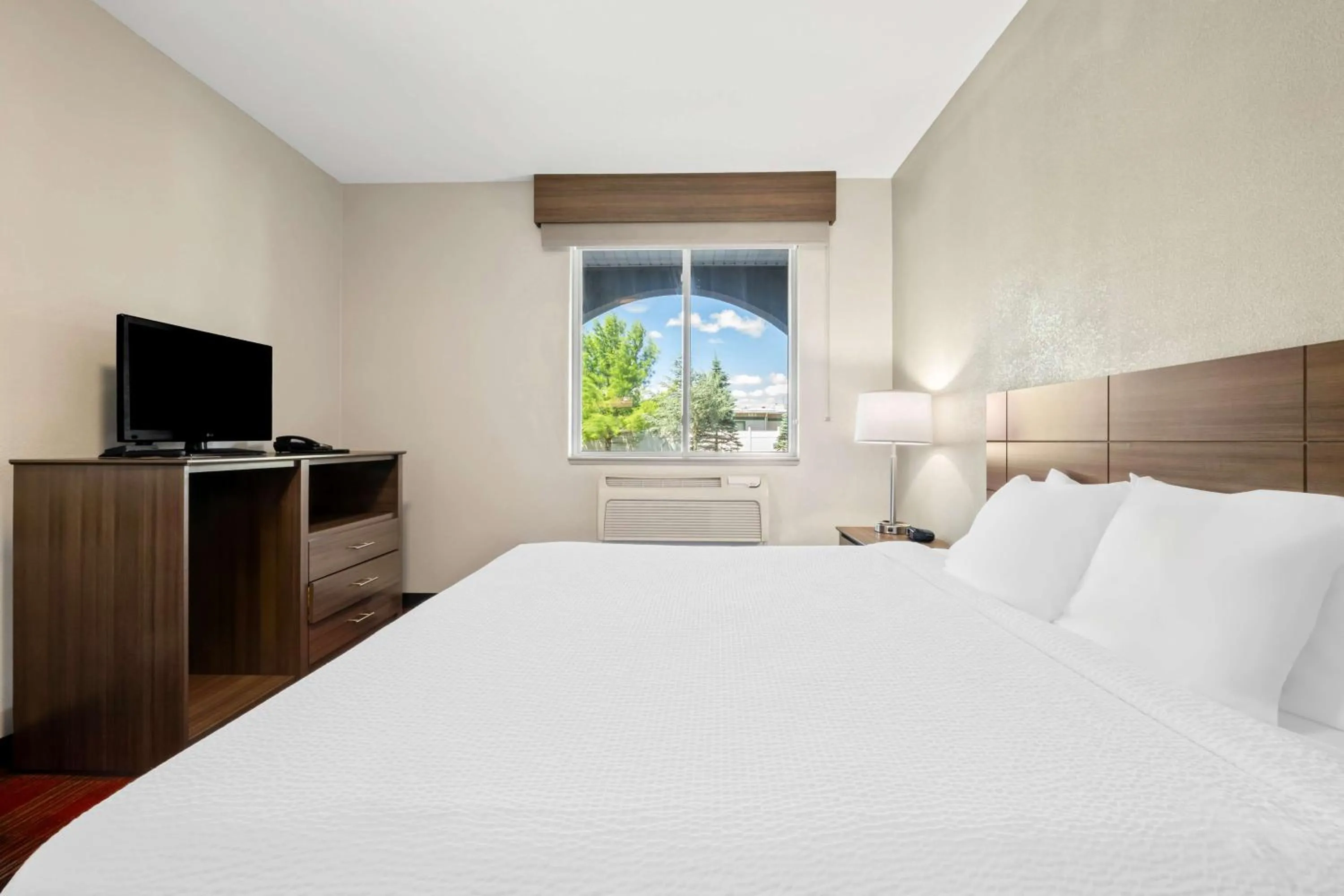 Photo of the whole room, Bed in Best Western Dartmouth-New Bedford