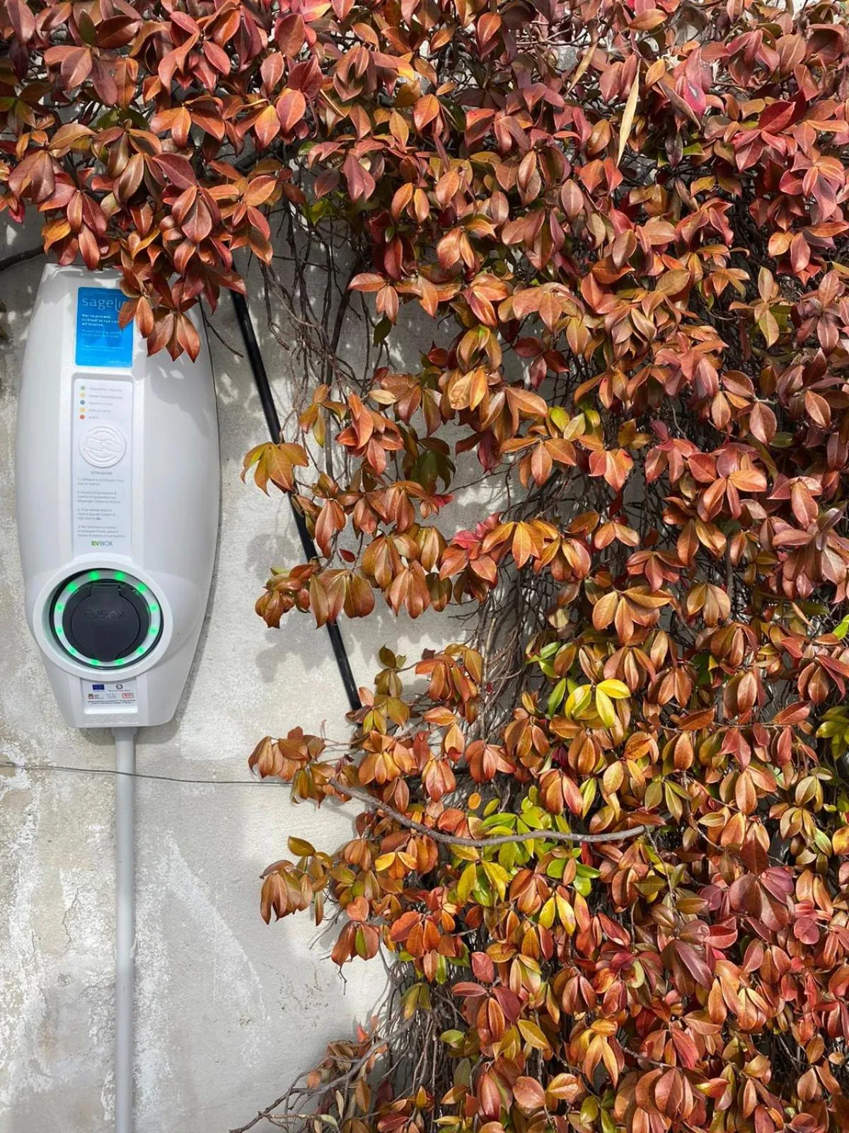 Area and facilities in Hotel Villa Maria