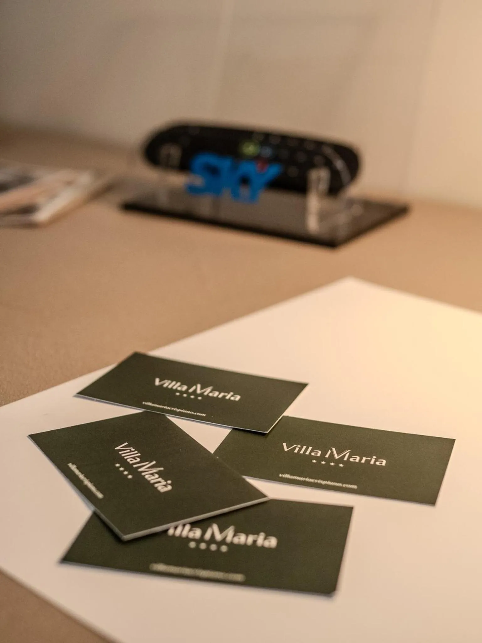 Property logo or sign in Hotel Villa Maria