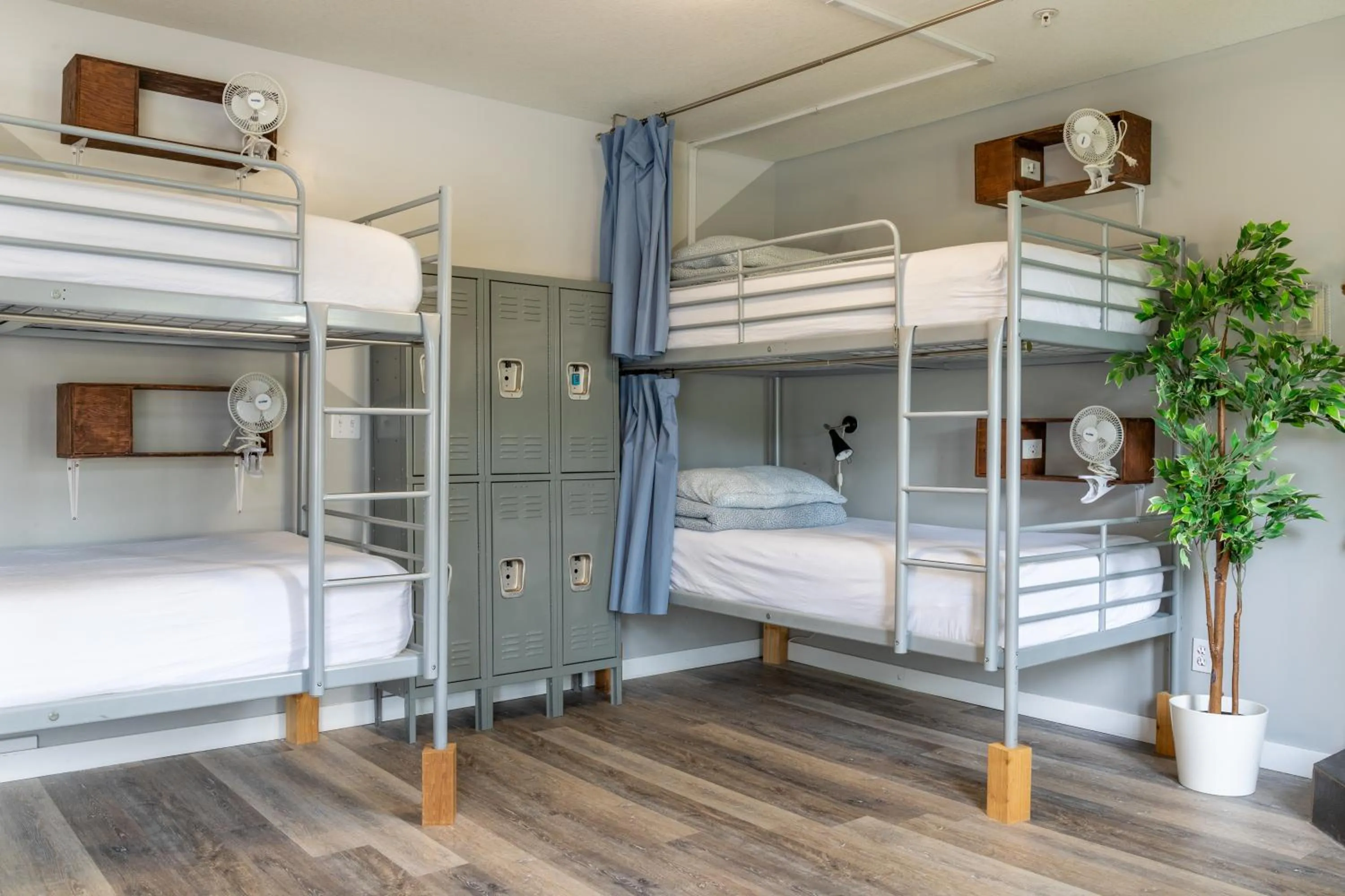 bunk bed, Bed in Samesun Banff Hostel