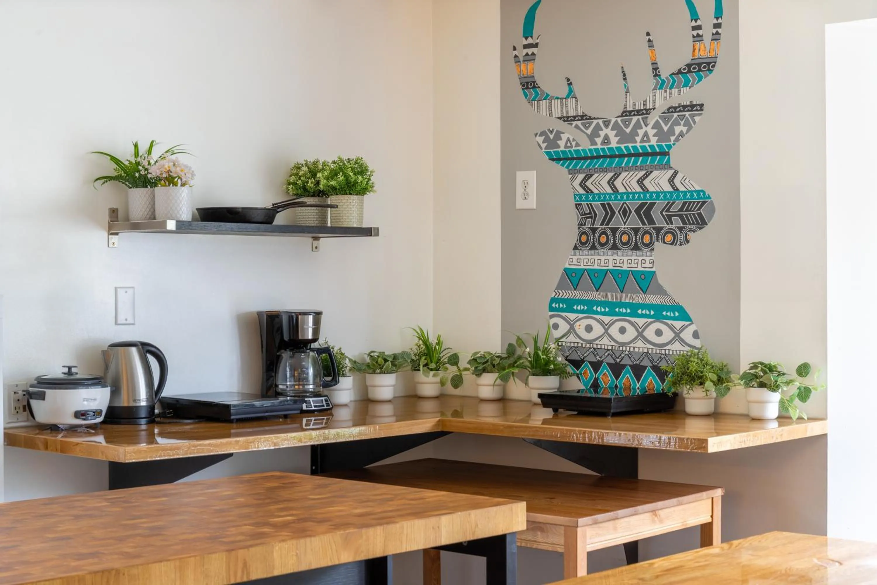 Communal kitchen in Samesun Banff Hostel