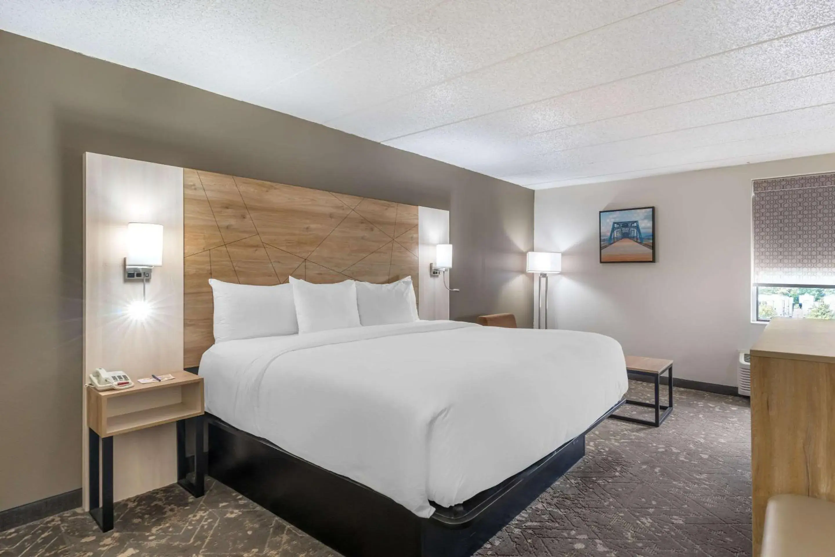 Bedroom, Bed in Best Western Plus Arbour Inn and Suites Bedroom, Bed in Best Western Plus Arbour Inn and Suites