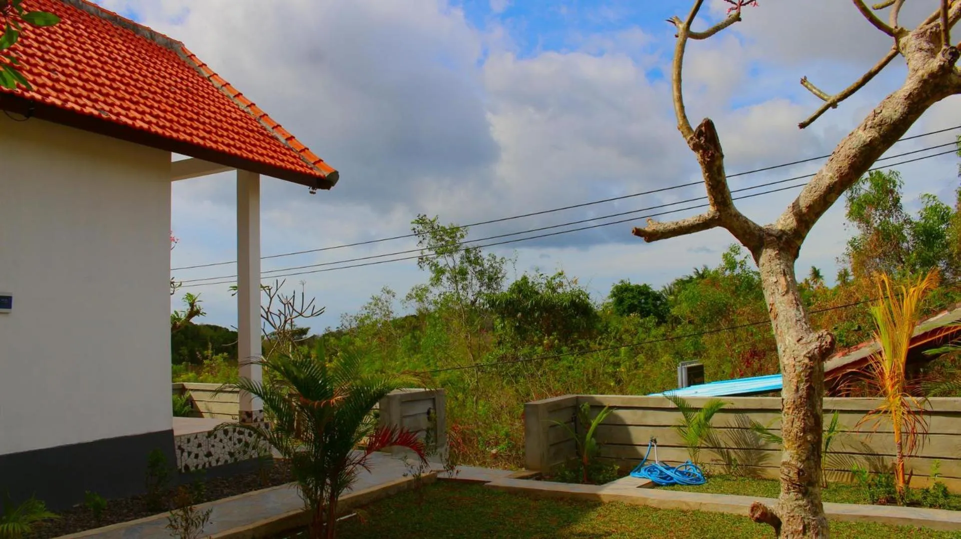 Garden in Wahyu Masari Homestay