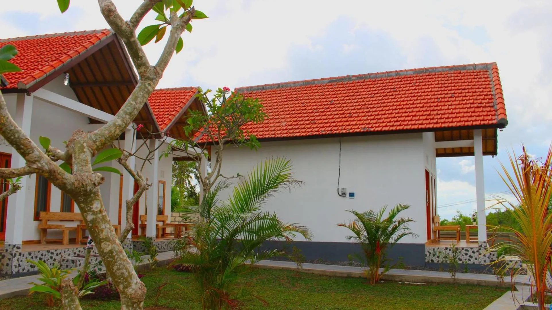 Garden in Wahyu Masari Homestay