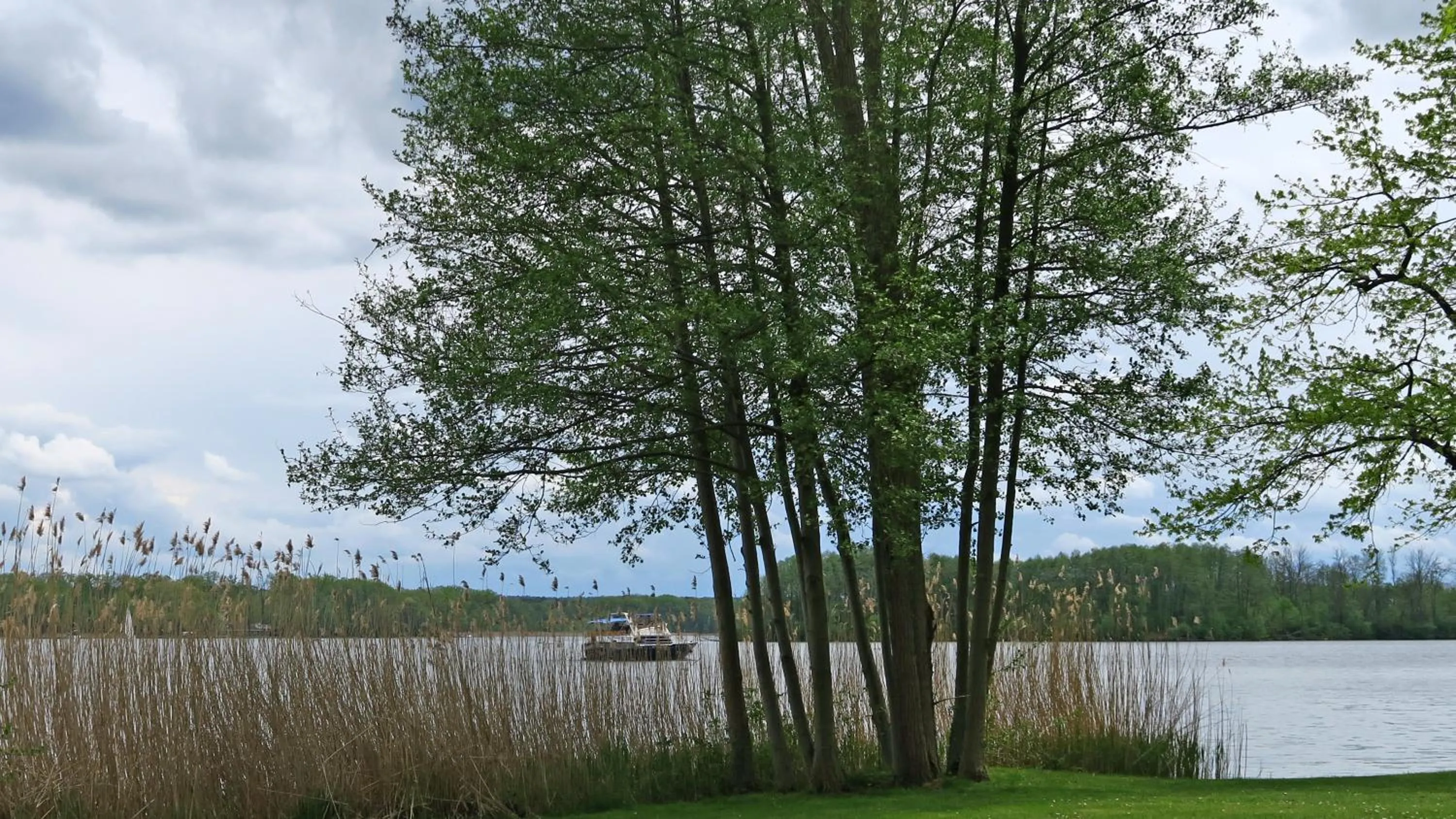 Staff in Hotel "Am Werl"