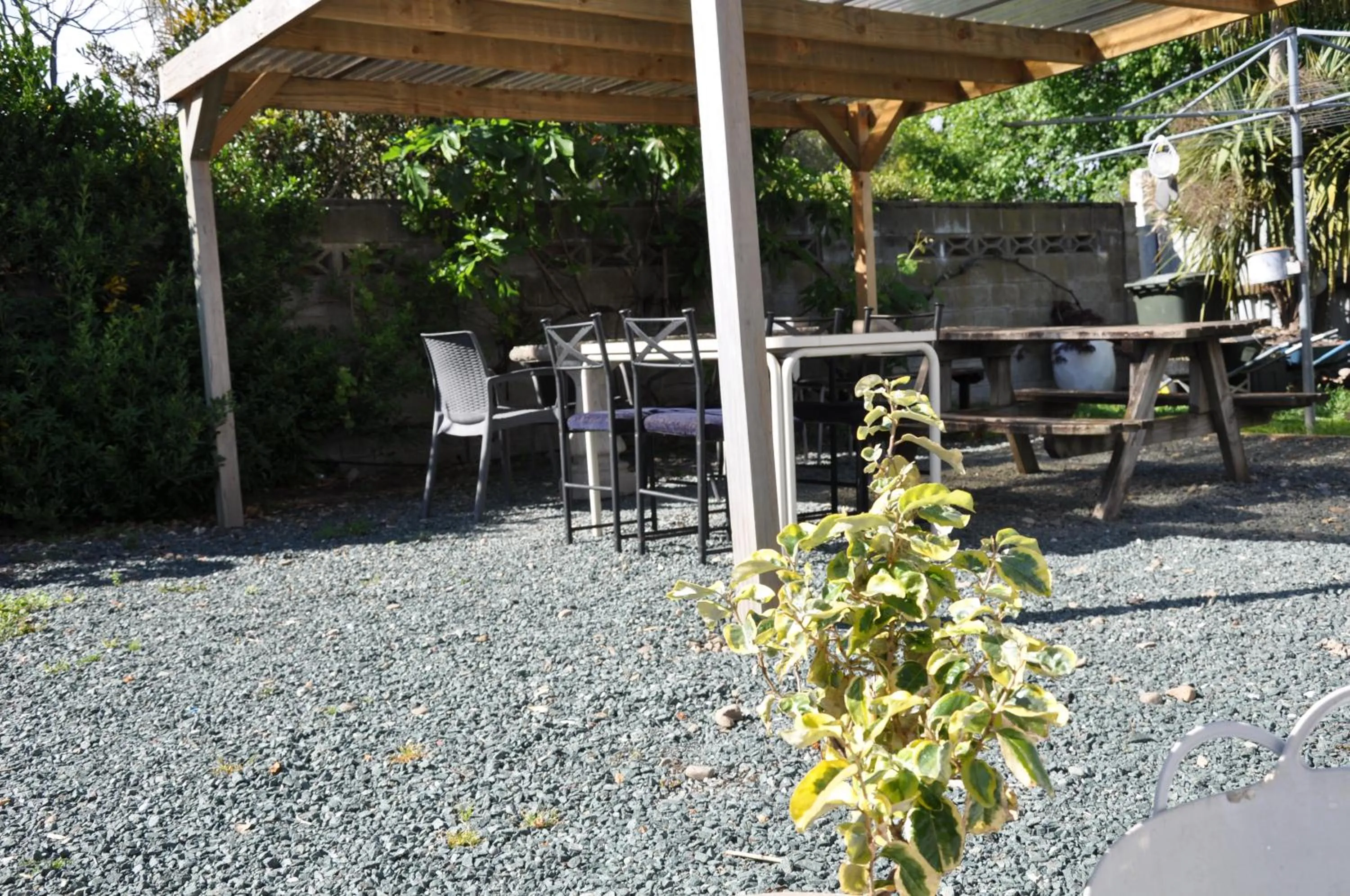 Garden in Balmoral Motel