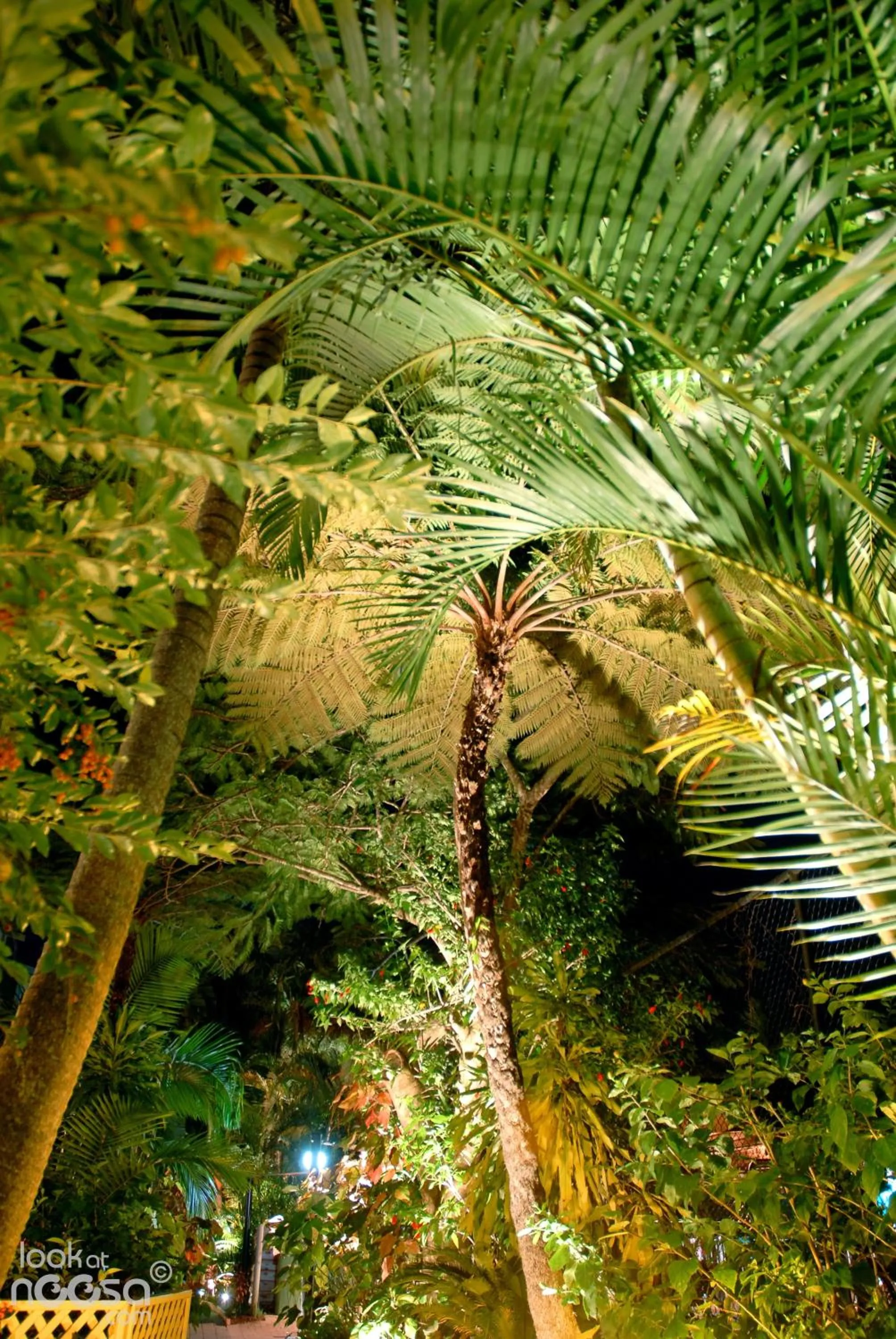 Garden in Noosa Village River Resort