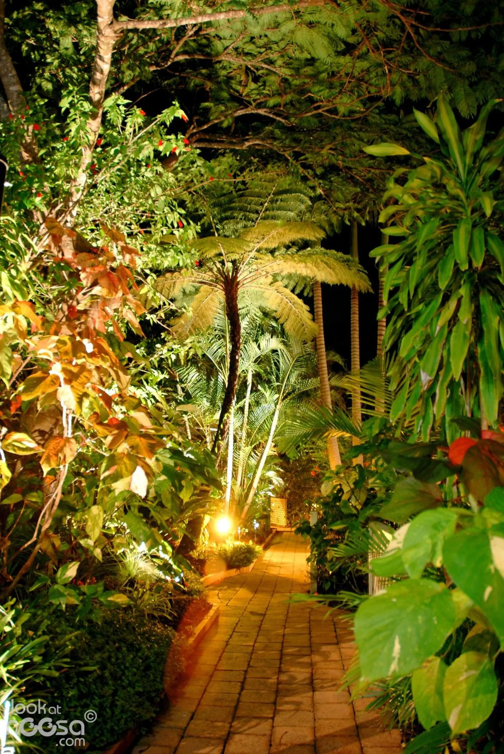 Garden in Noosa Village River Resort