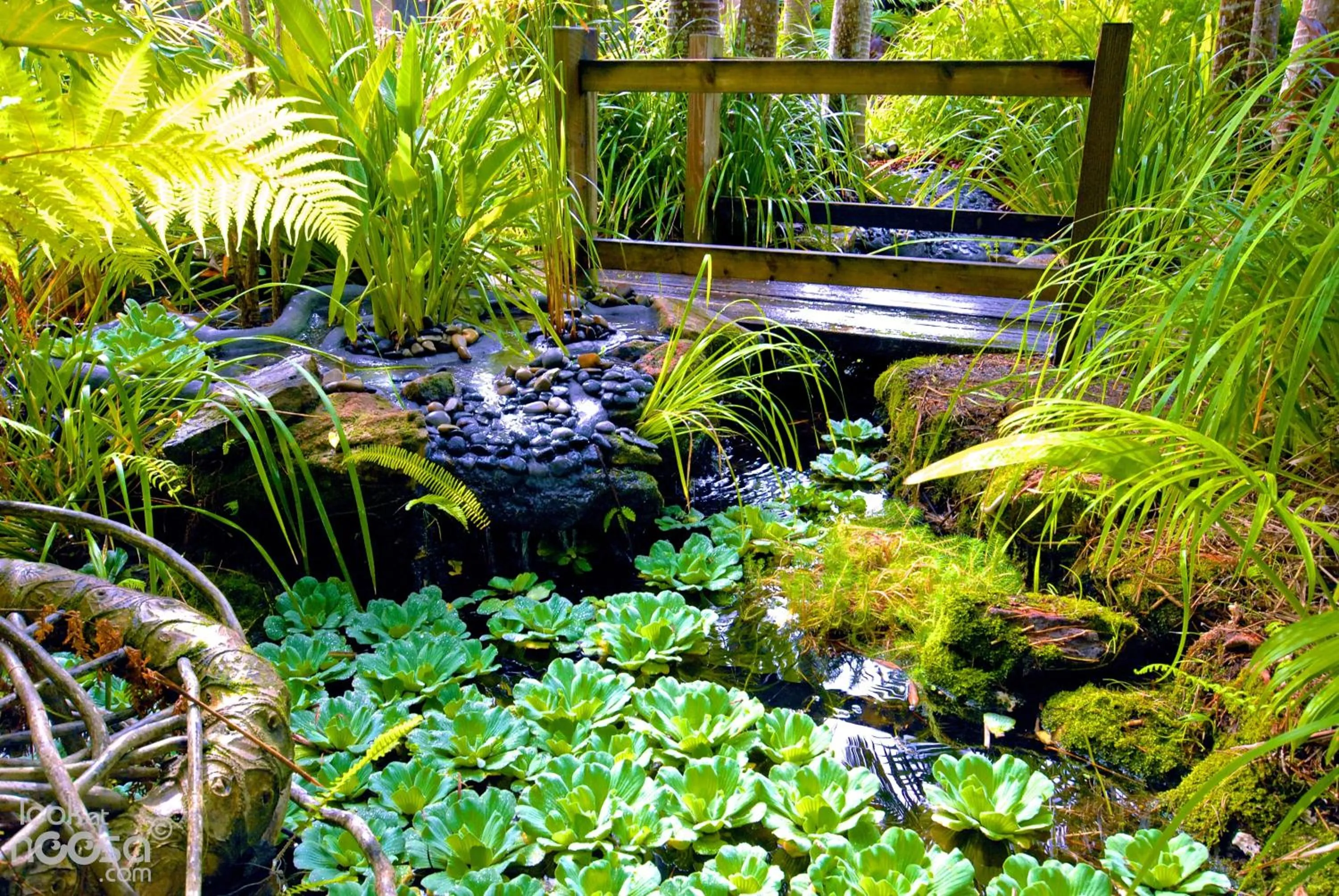 Garden in Noosa Village River Resort