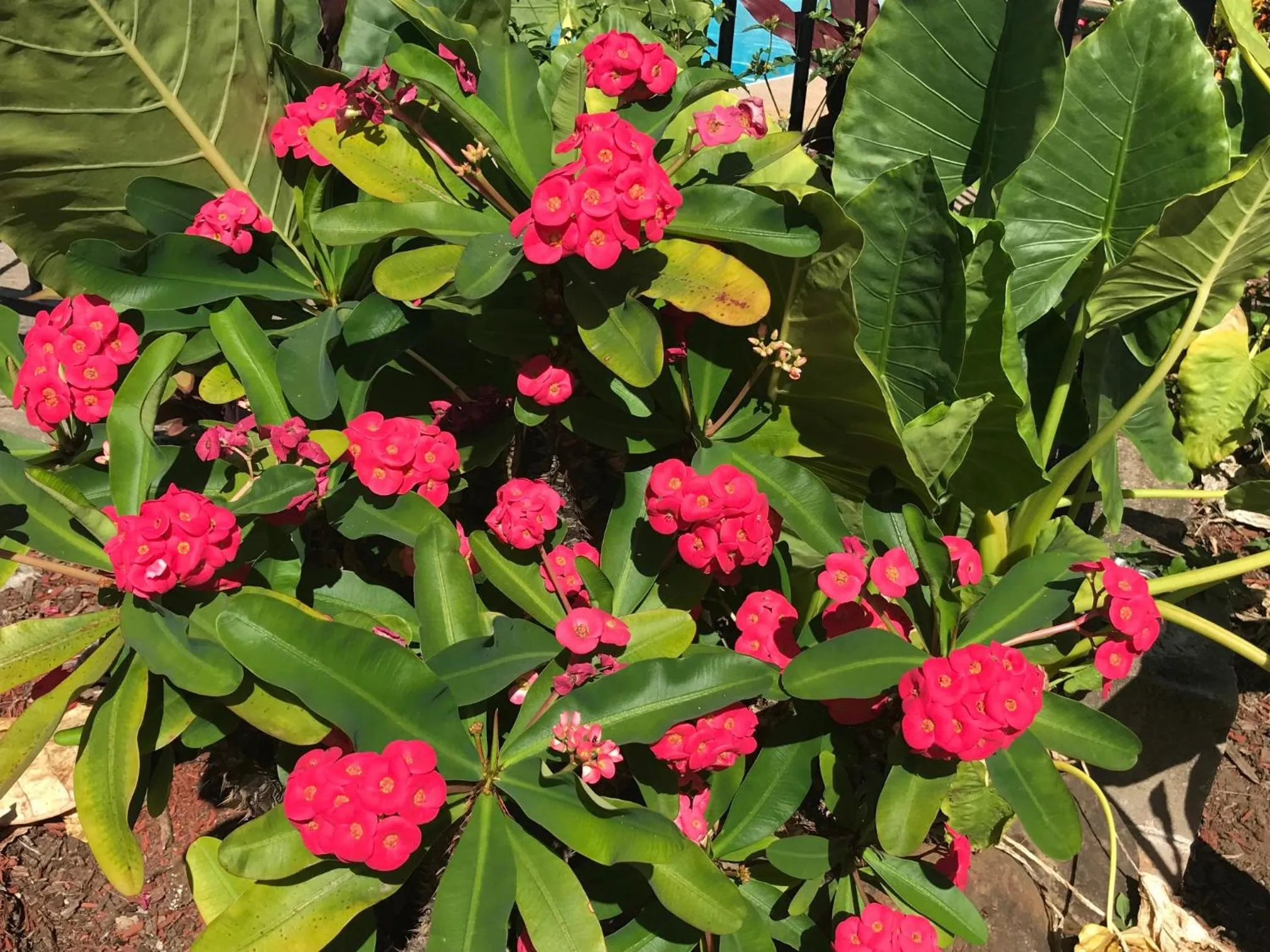 Decorative detail in Bush Village Holiday Cabins