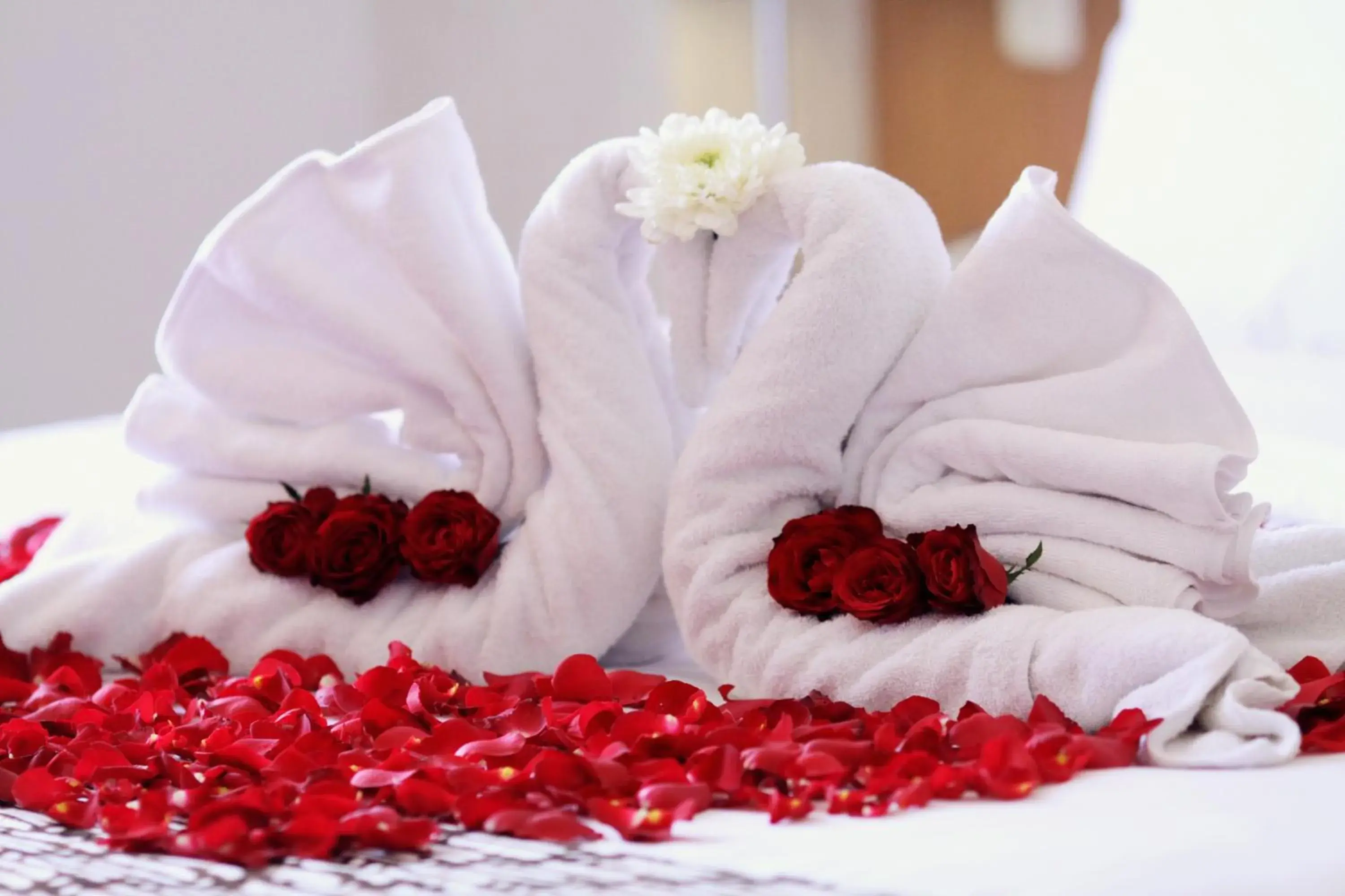 Bed in Grand HAP Solo Bed in Grand HAP Solo