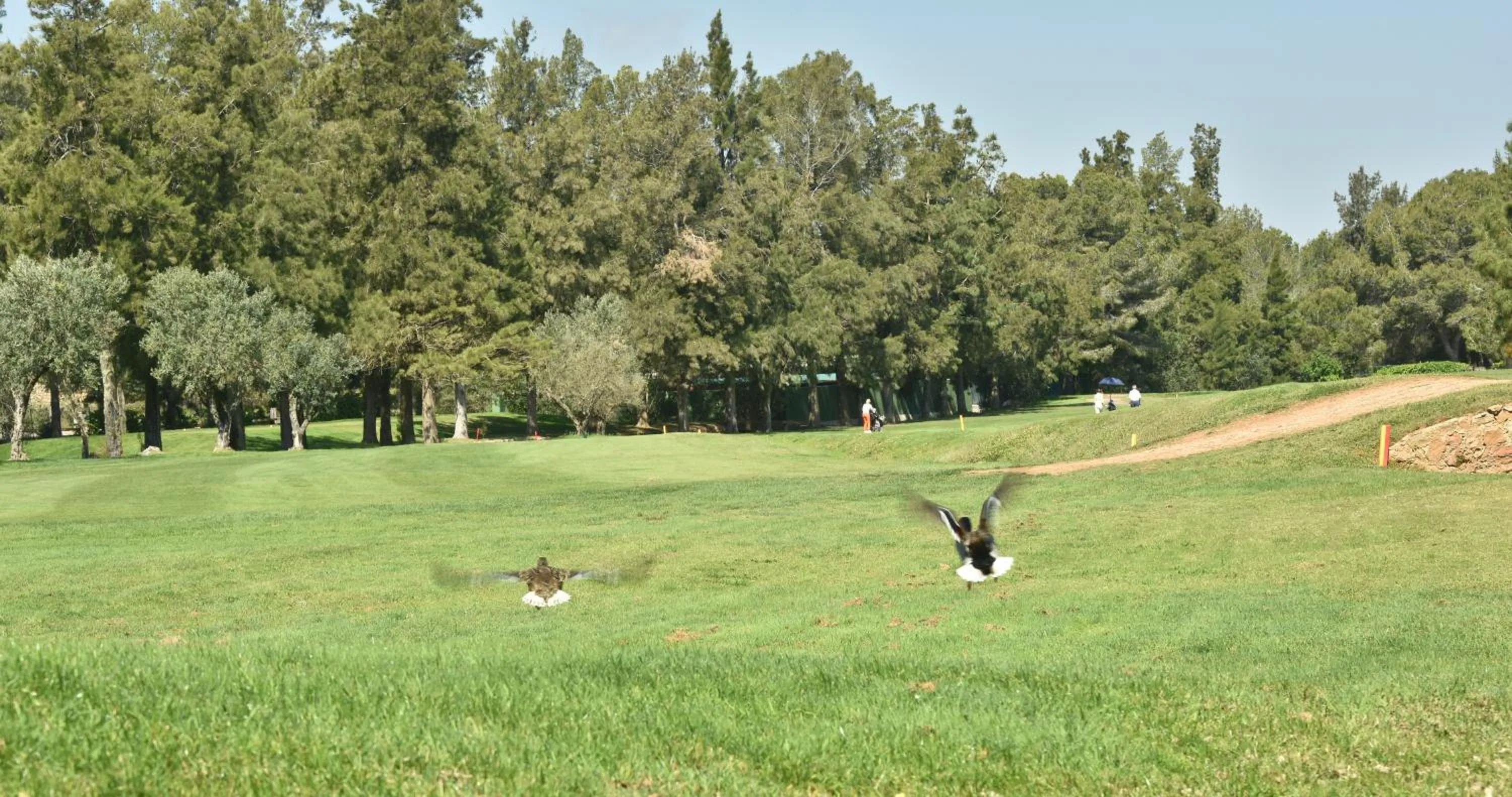 Golfcourse in LA SELLA PREMIUM lifestyle Apartments