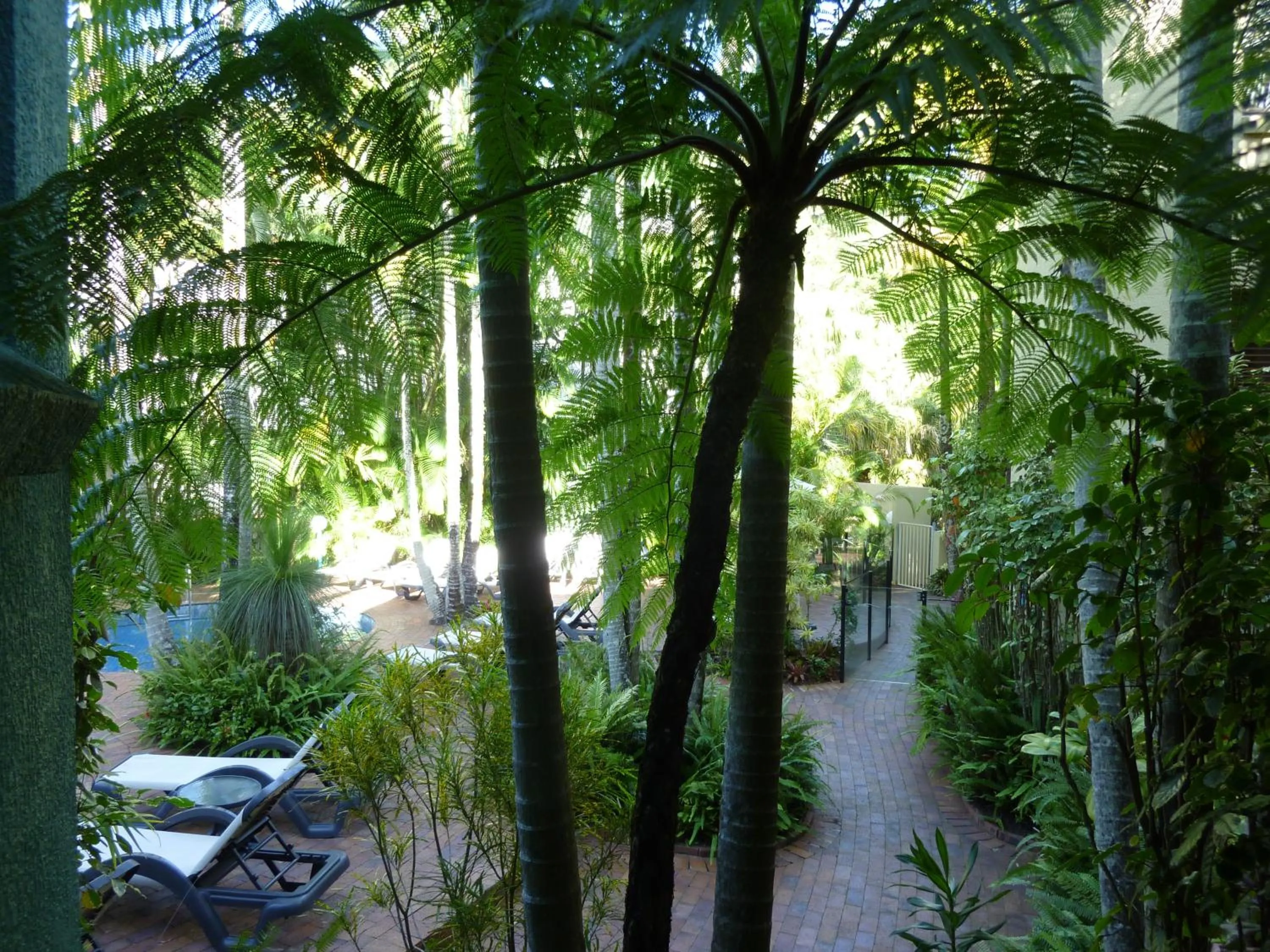 Garden in Ocean Breeze Resort