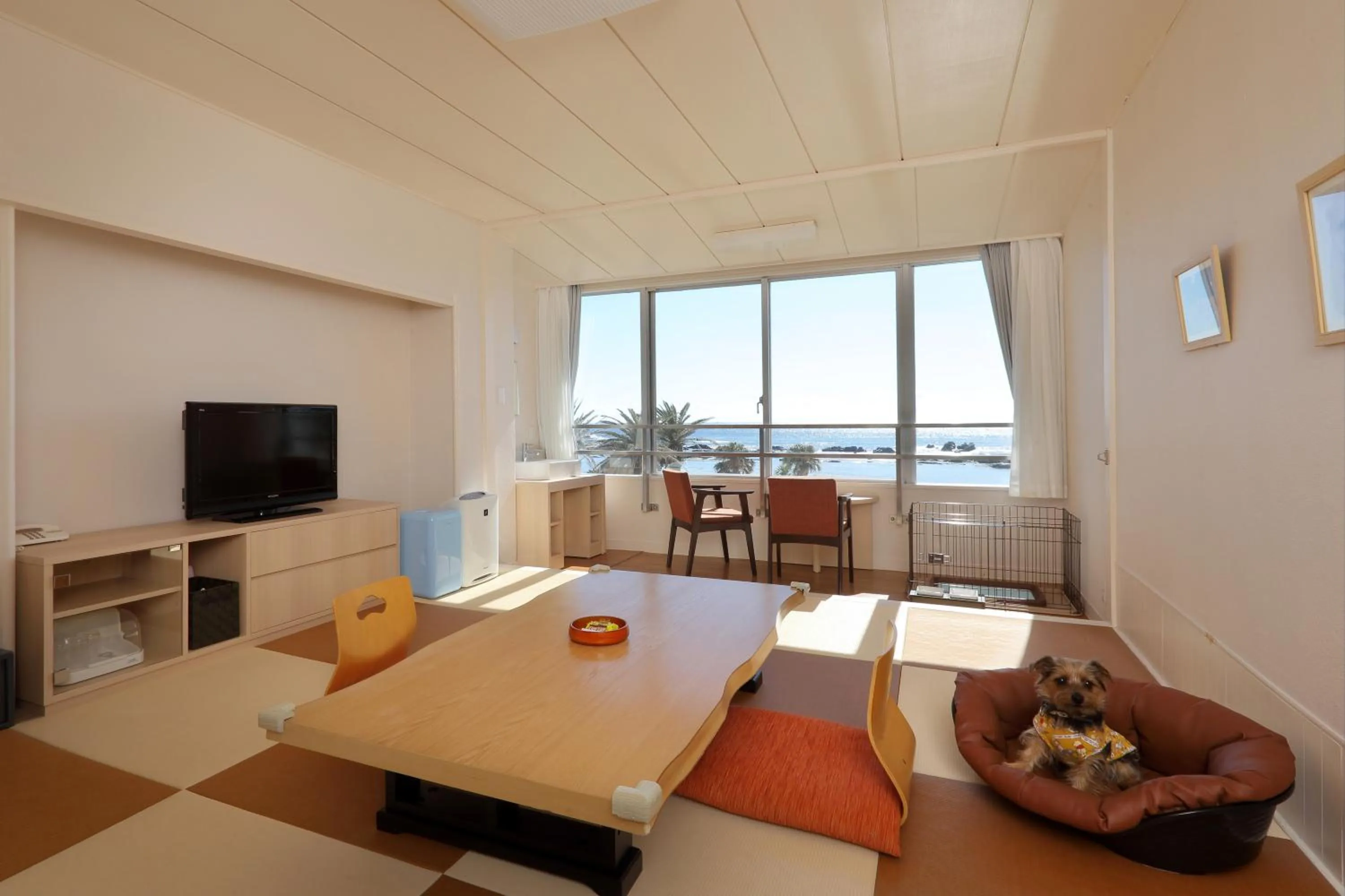Photo of the whole room in Shirahama Ocean Resort