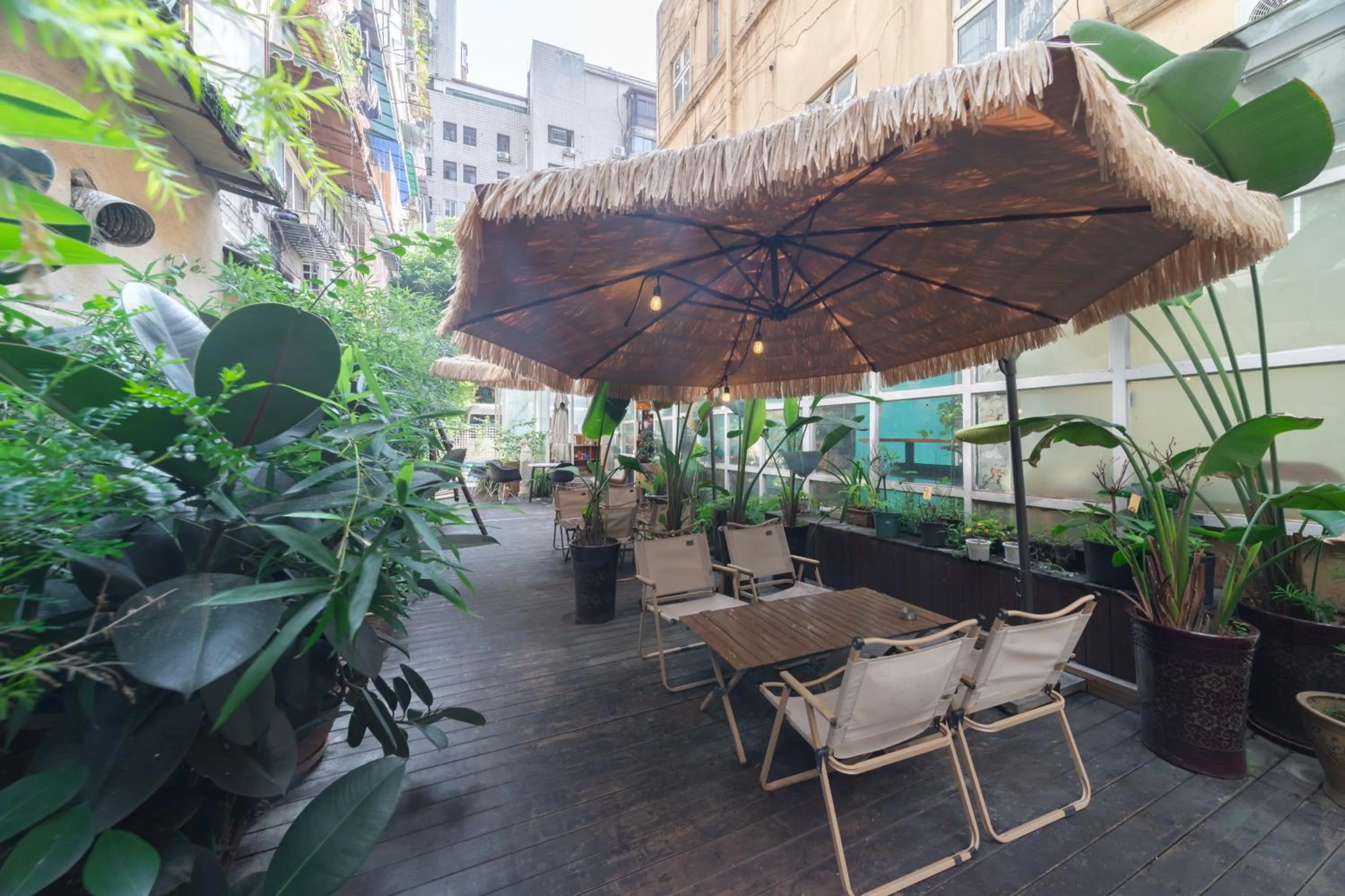 Garden in Nova Traveller's Lodge