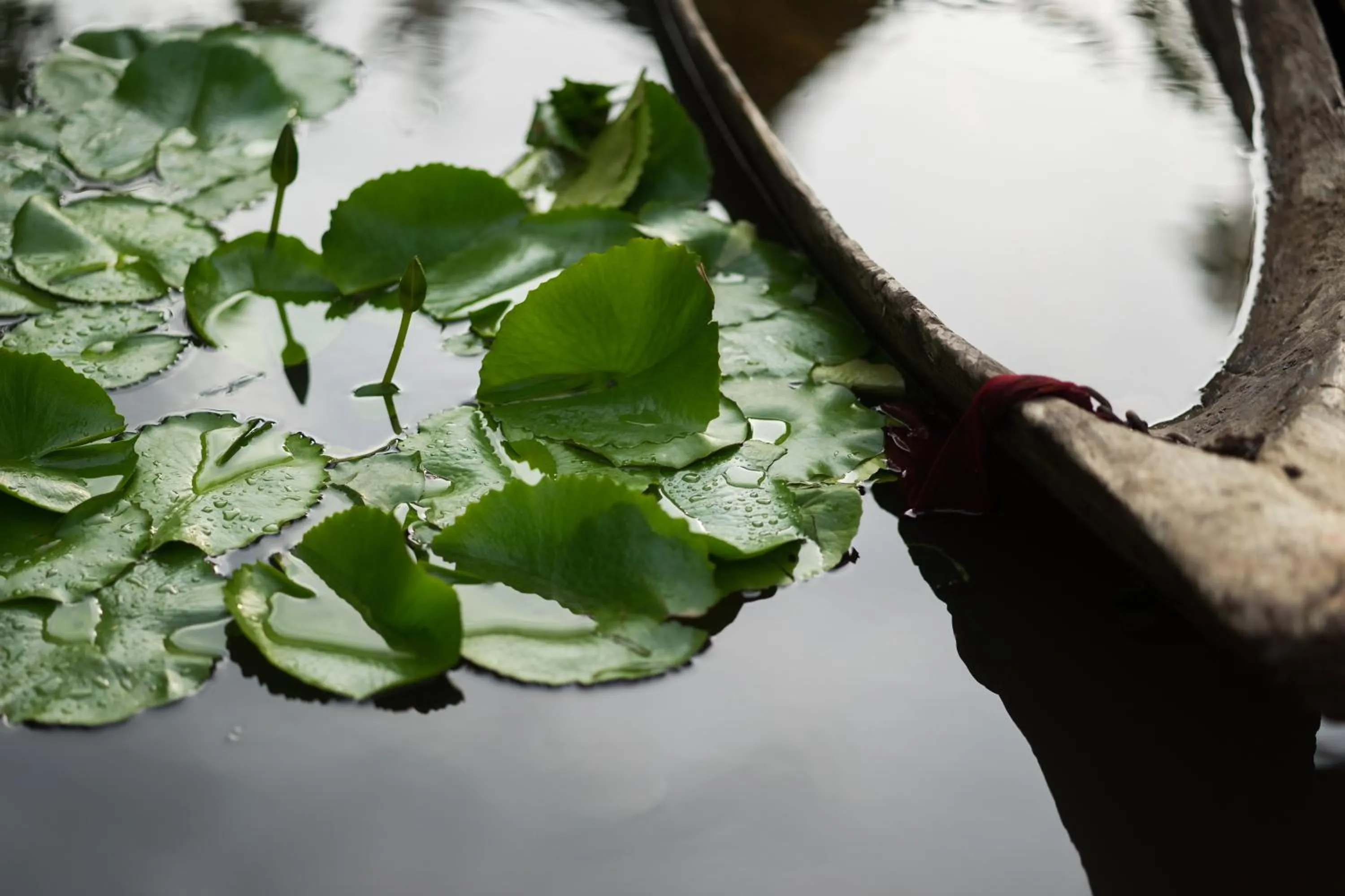 Property building in Shinnabhura Historic Boutique Hotel