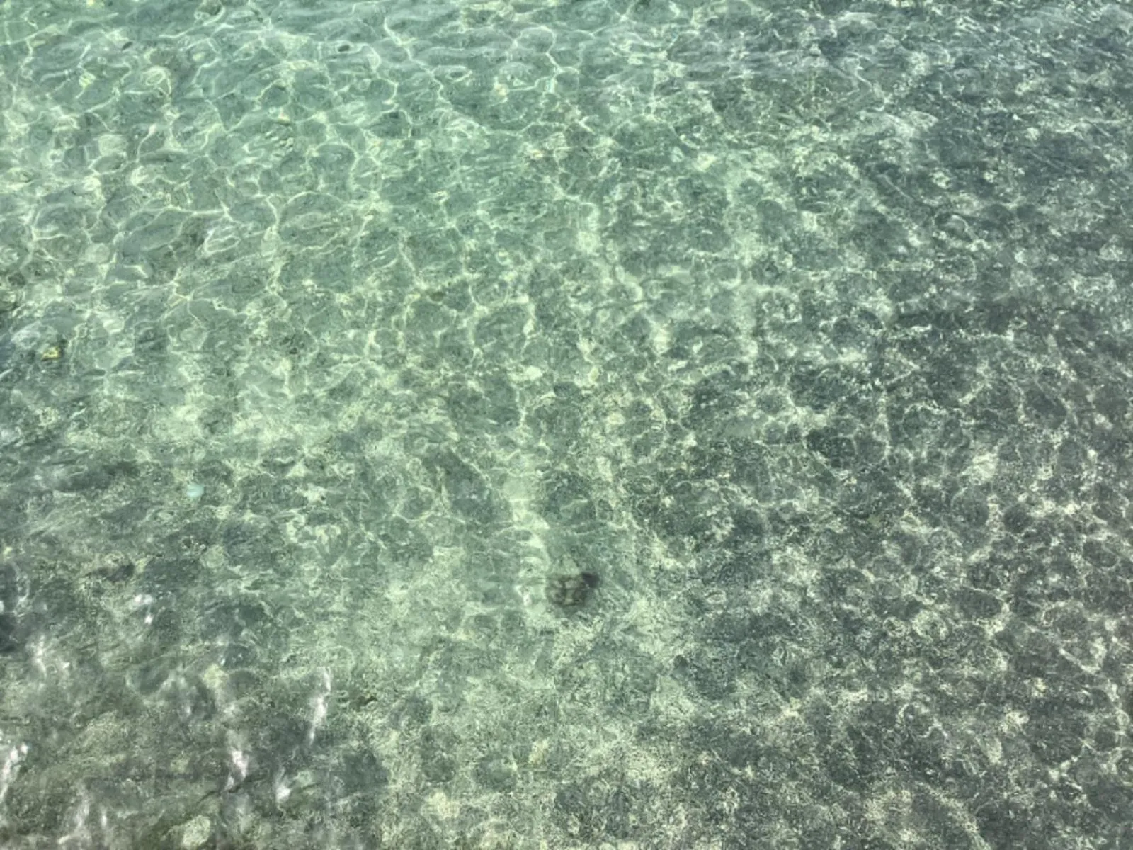 Puri Oka Beach Bungalows