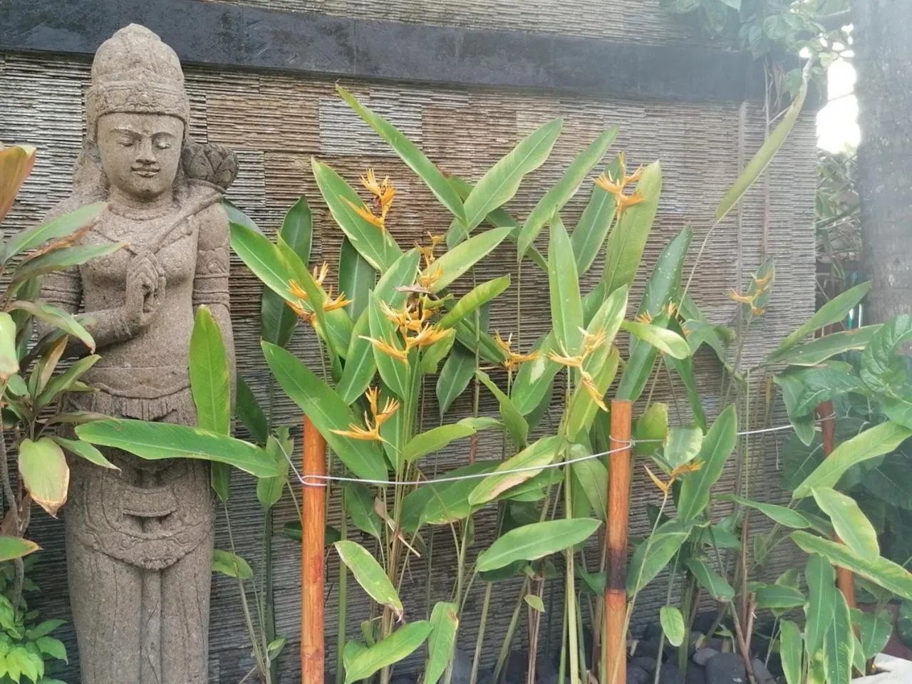 Puri Oka Beach Bungalows