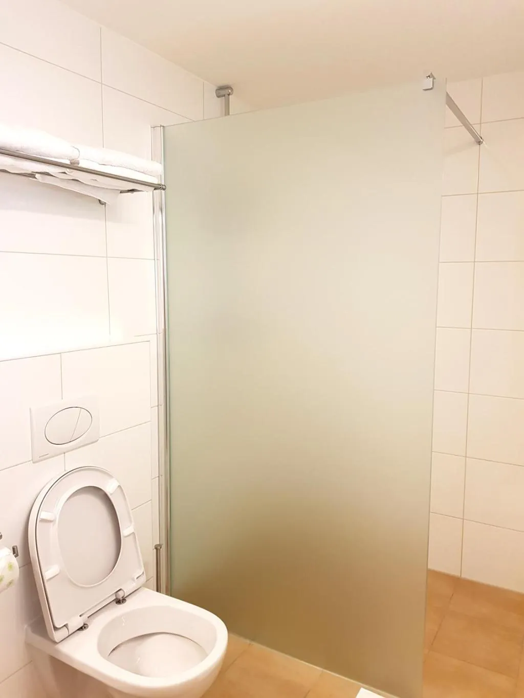 Toilet in Aparthotel Pan Haus