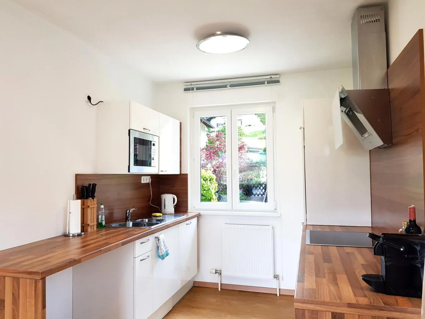 Kitchen or kitchenette in Aparthotel Pan Haus