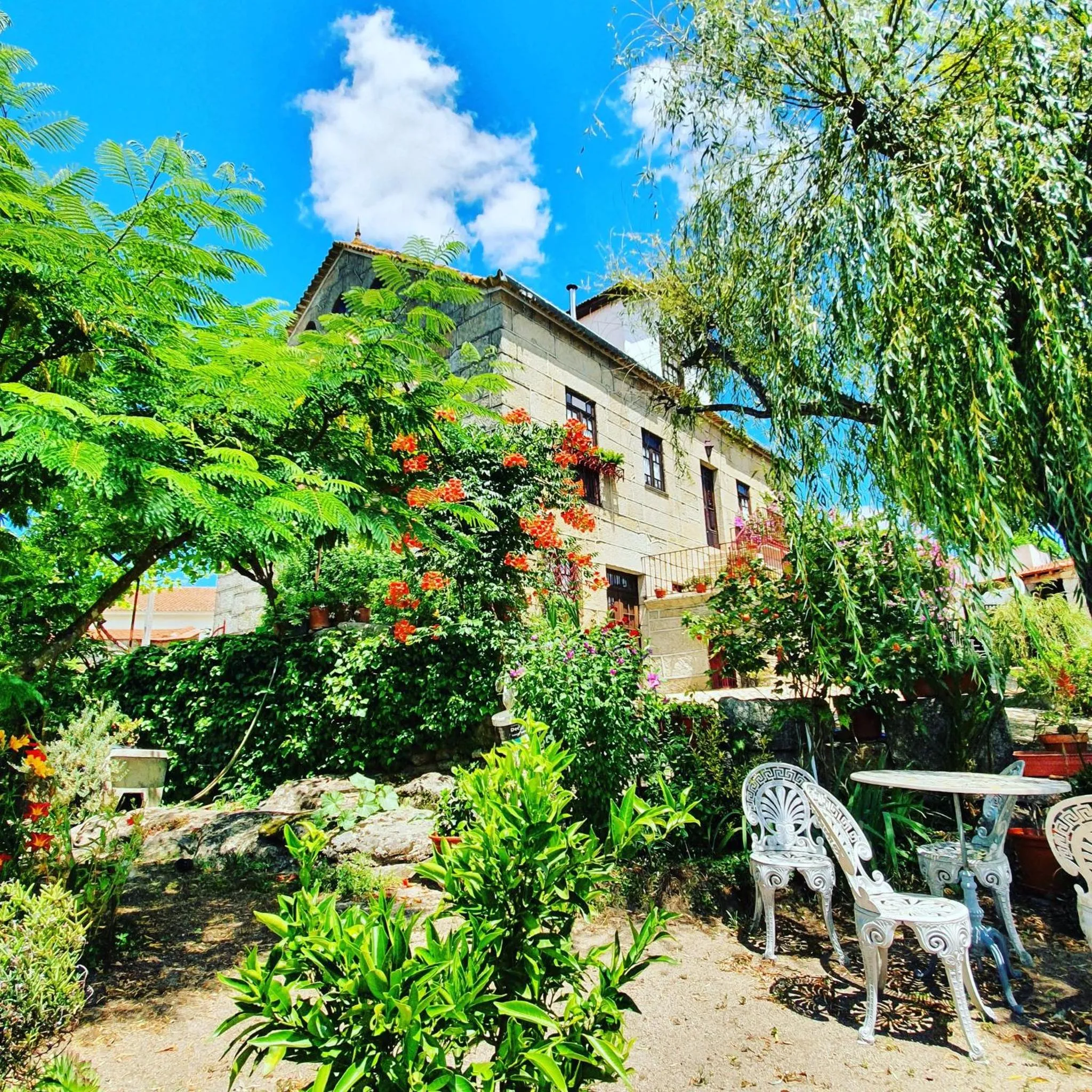Patio in Casa do Fundo - Sustainable & Ecotourism