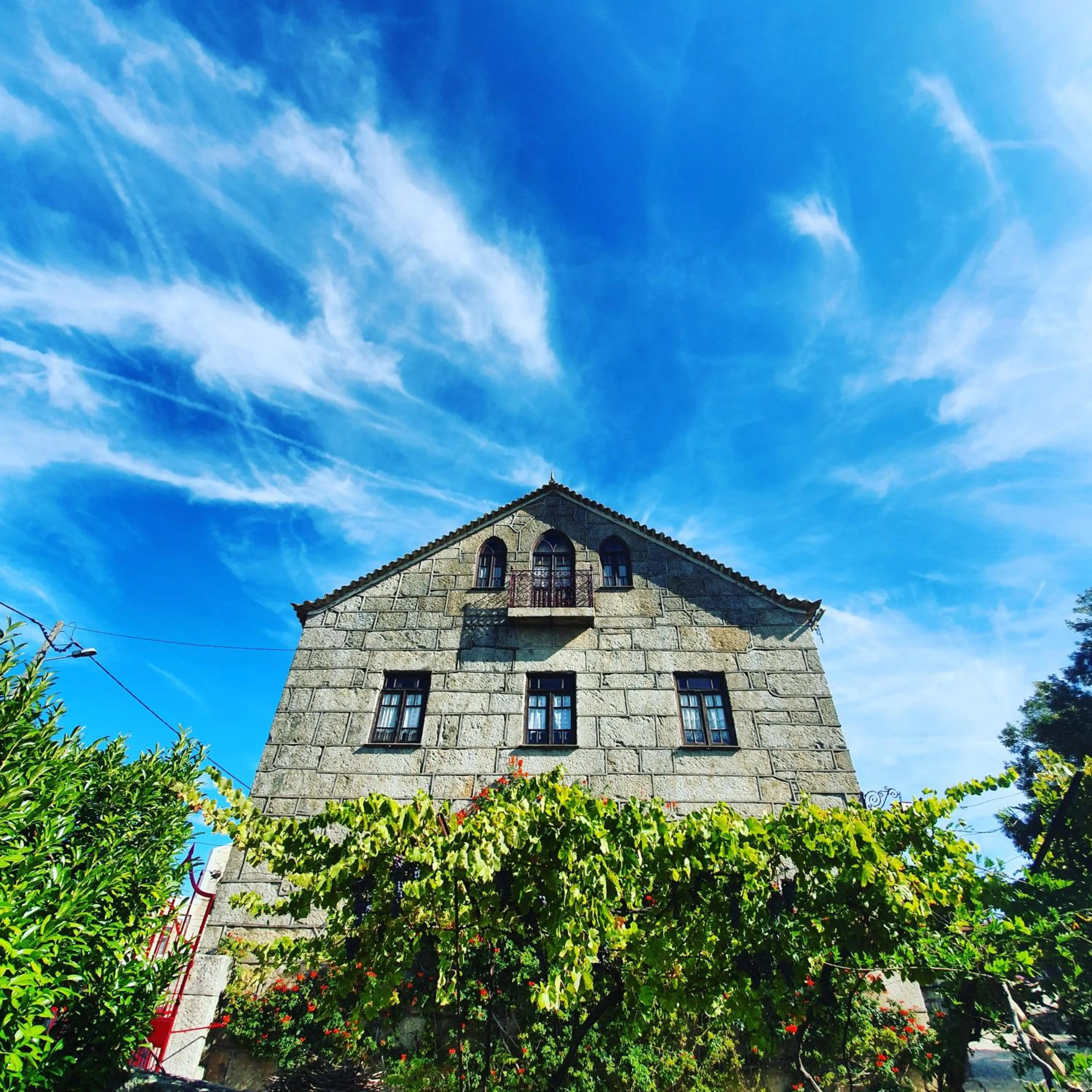 Garden in Casa do Fundo - Sustainable & Ecotourism