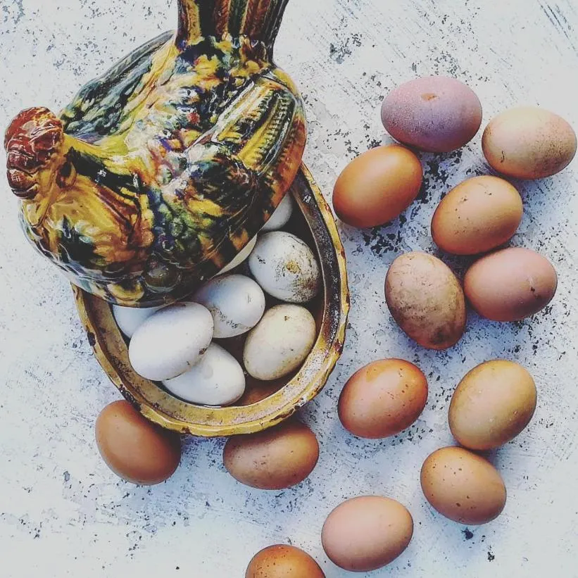 Decorative detail in Casa do Fundo - Sustainable & Ecotourism