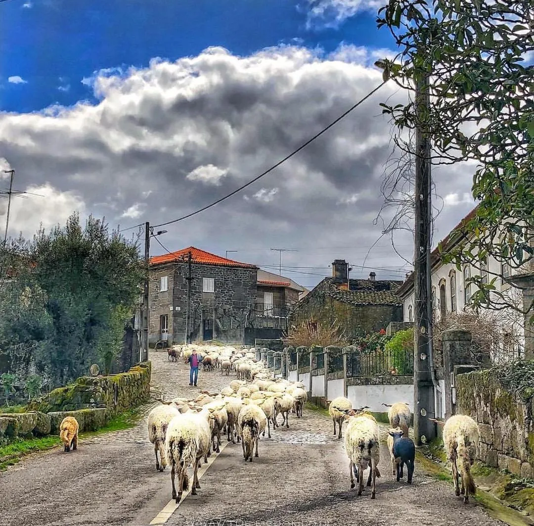 Day in Casa do Fundo - Sustainable & Ecotourism