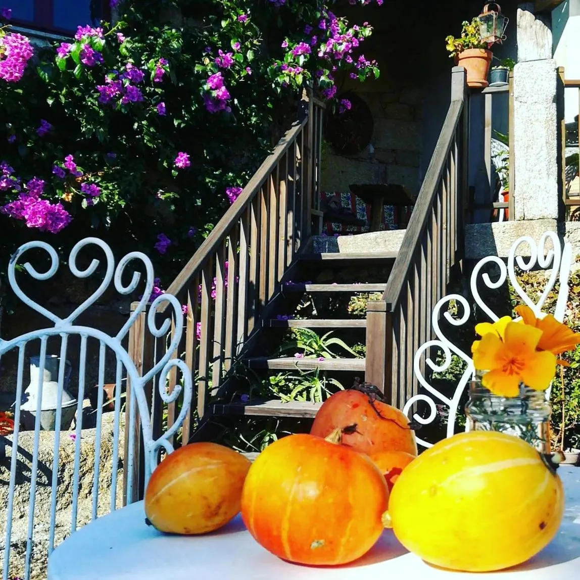Inner courtyard view in Casa do Fundo - Sustainable & Ecotourism