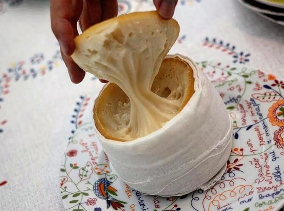 Casa do Fundo - Sustainable & Ecotourism