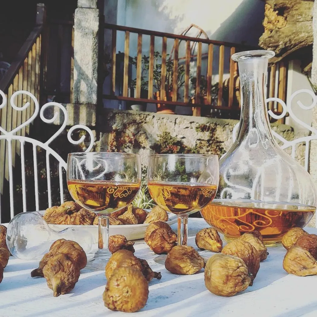 Casa do Fundo - Sustainable & Ecotourism