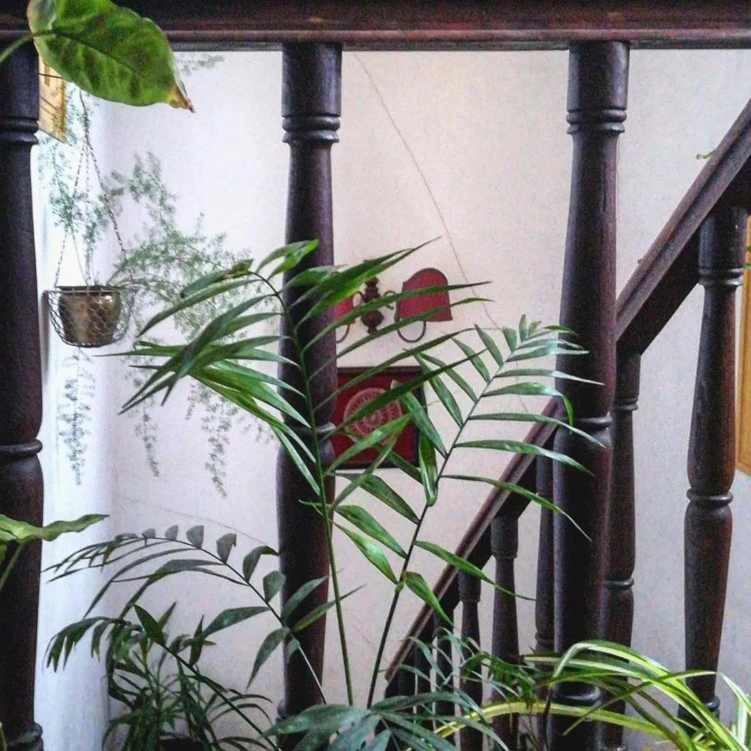 Decorative detail in Casa do Fundo - Sustainable & Ecotourism