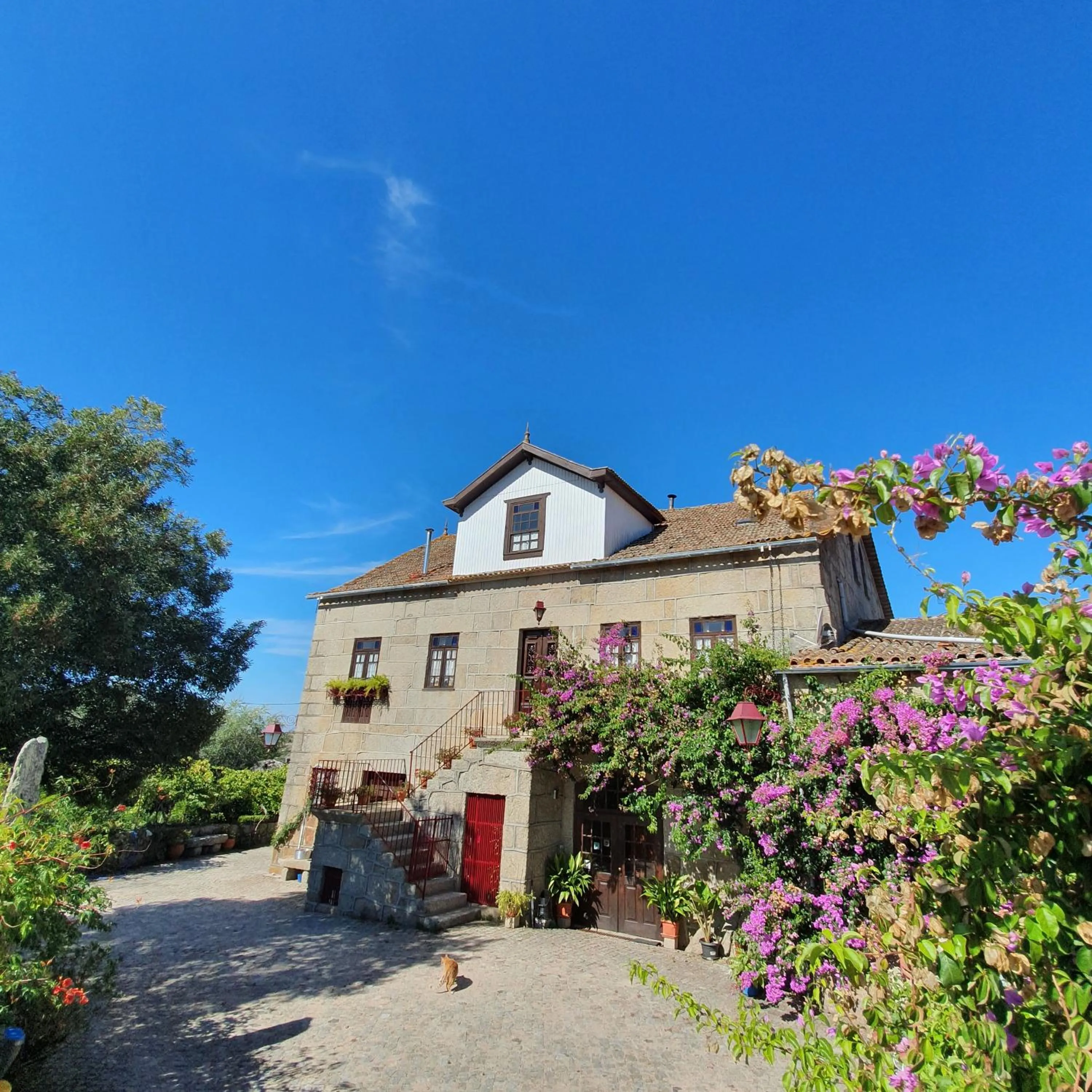 Property building in Casa do Fundo - Sustainable & Ecotourism