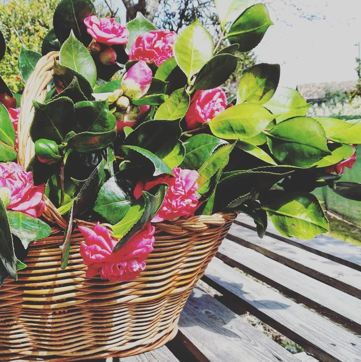 Spring in Casa do Fundo - Sustainable & Ecotourism