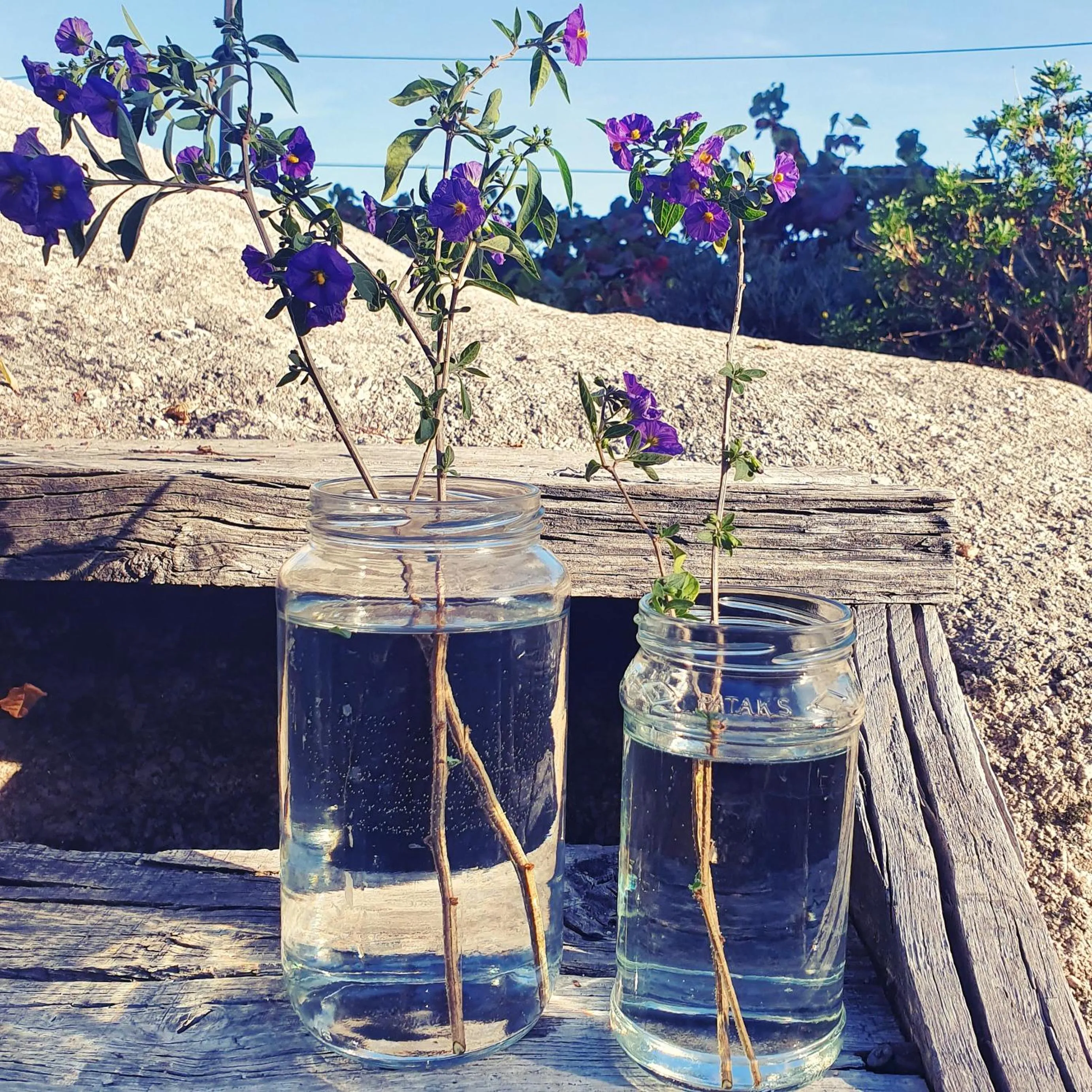 Spring in Casa do Fundo - Sustainable & Ecotourism