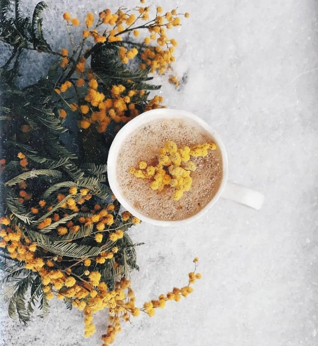 Casa do Fundo - Sustainable & Ecotourism