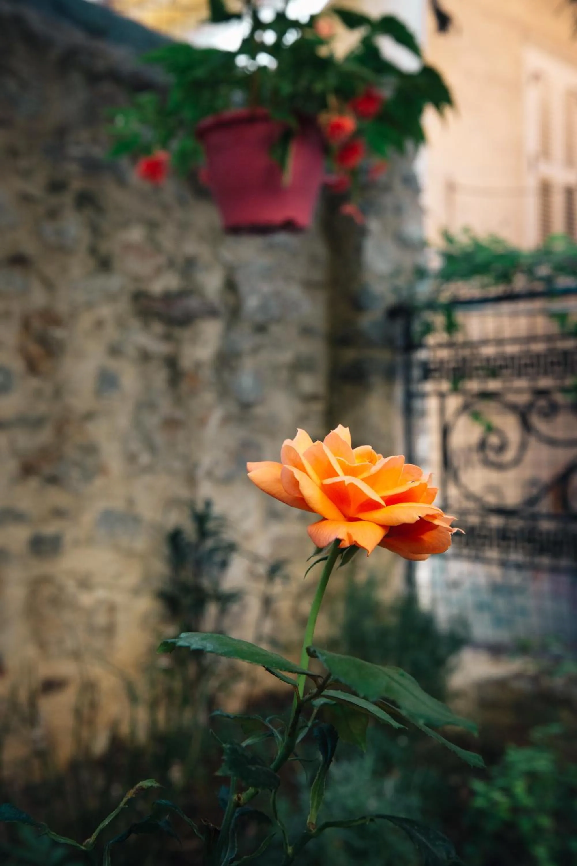 Property building in Rigas Pension Nafplio