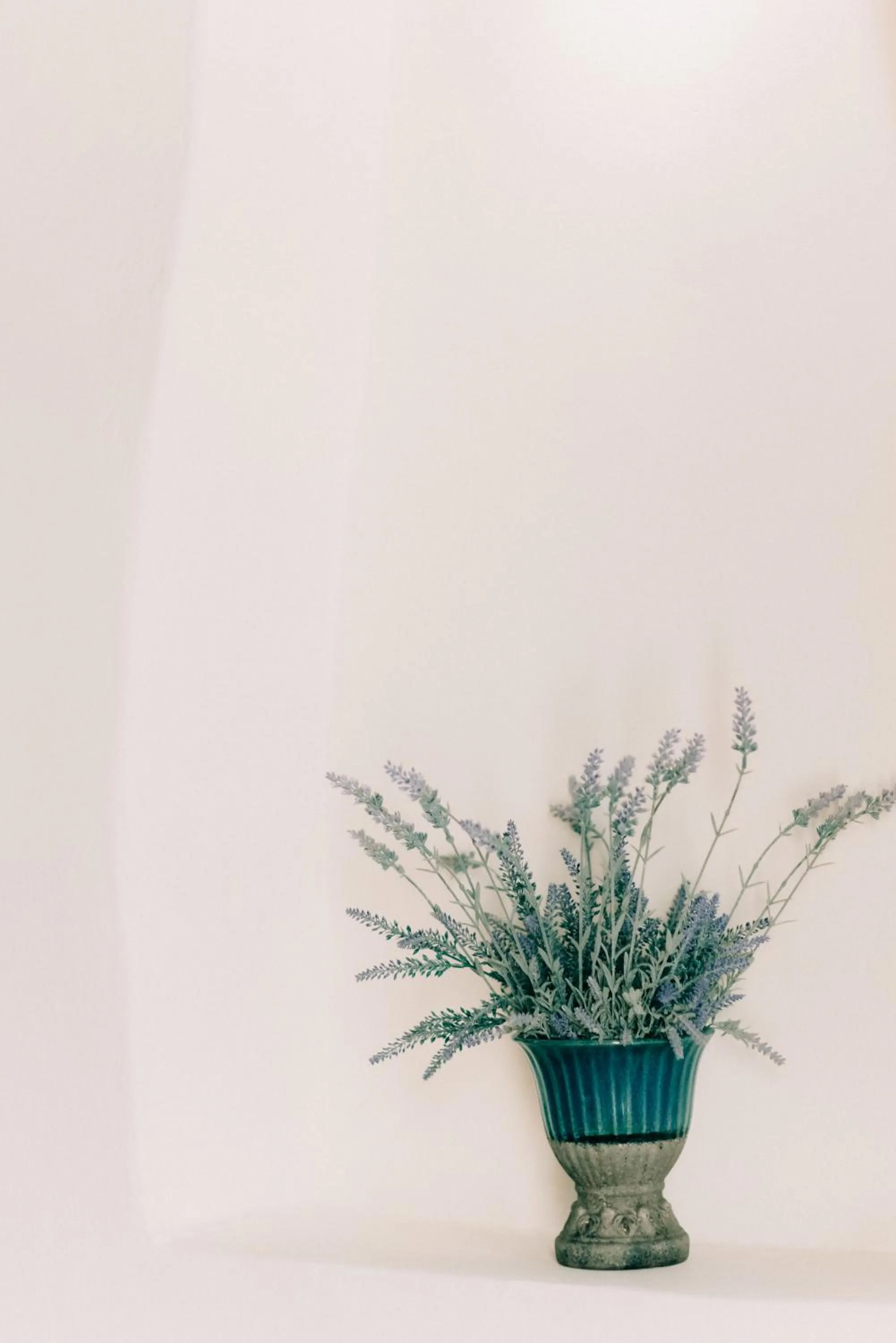 Property building in Rigas Pension Nafplio