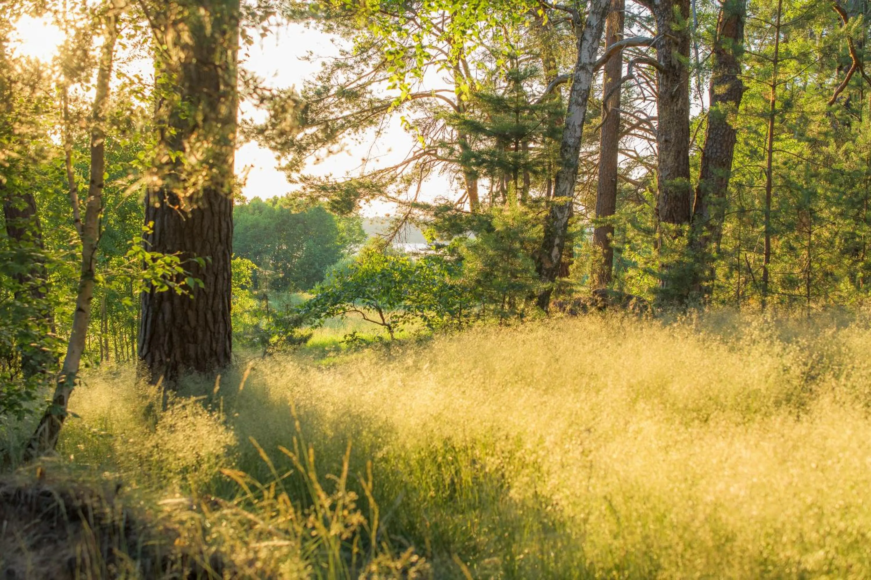 Off site in Notera Hotel SPA